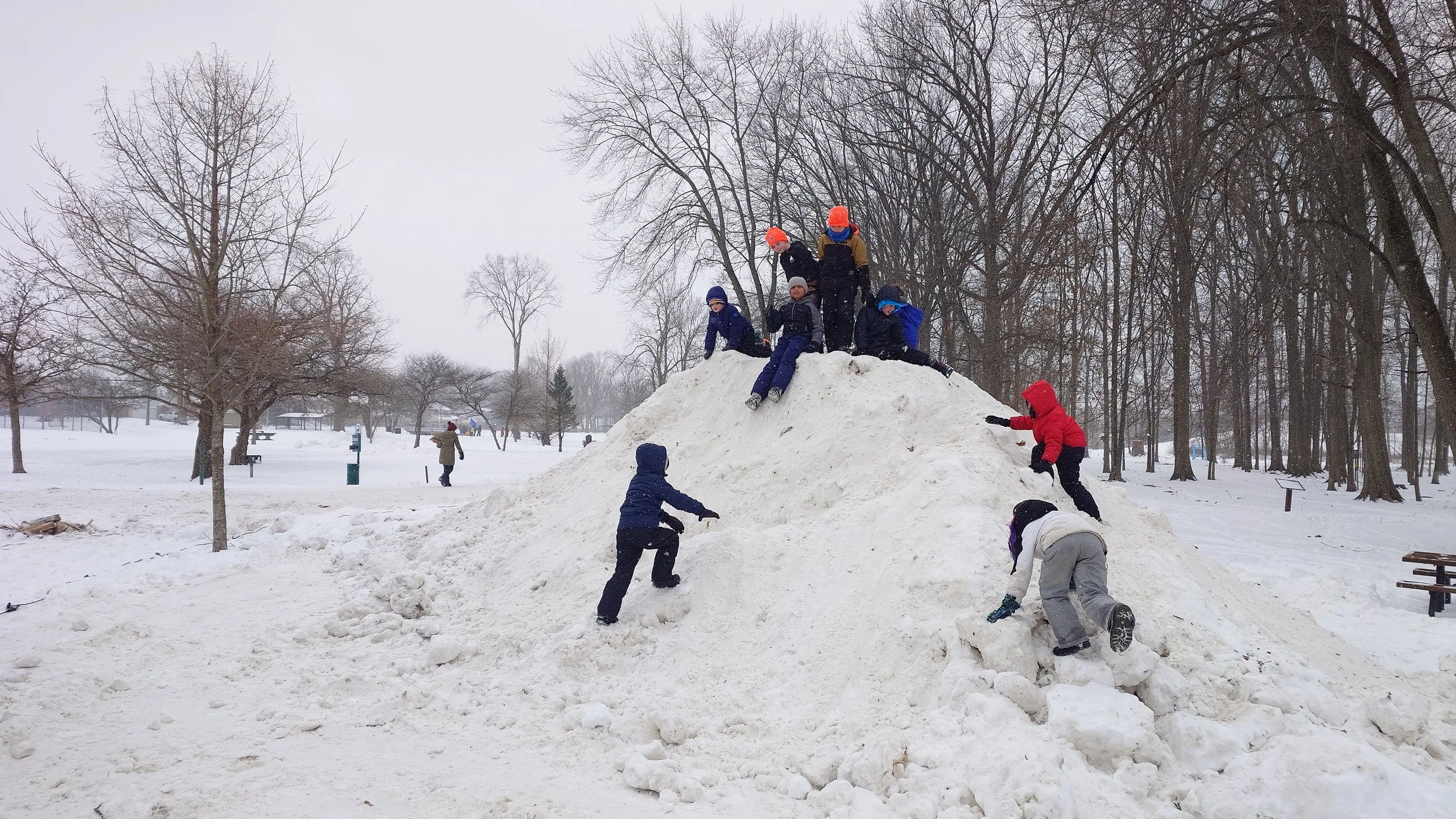 20260131_103627 (1).JPG