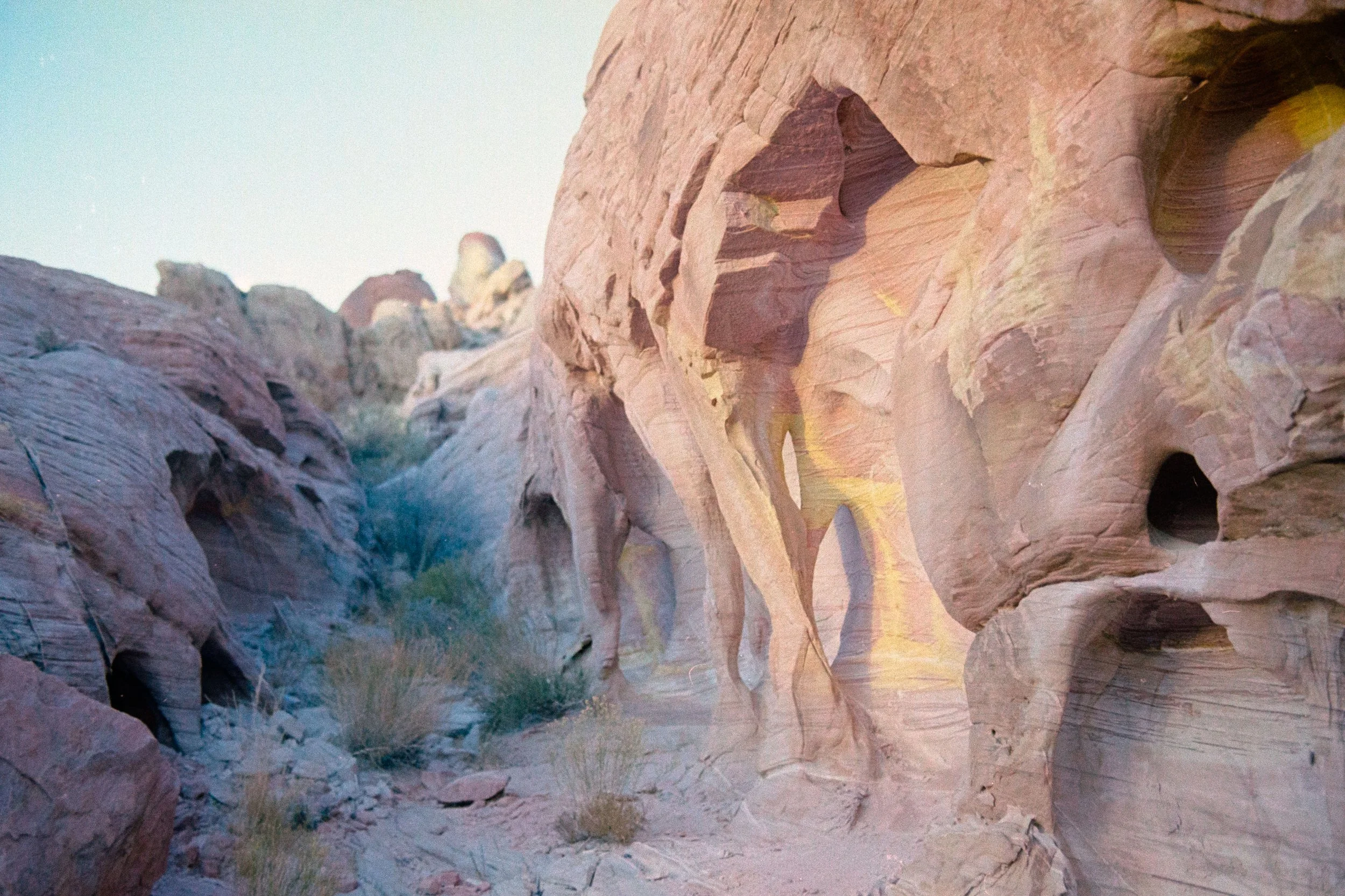 202012_35_R4_Ektar100_AC3A3692.jpg