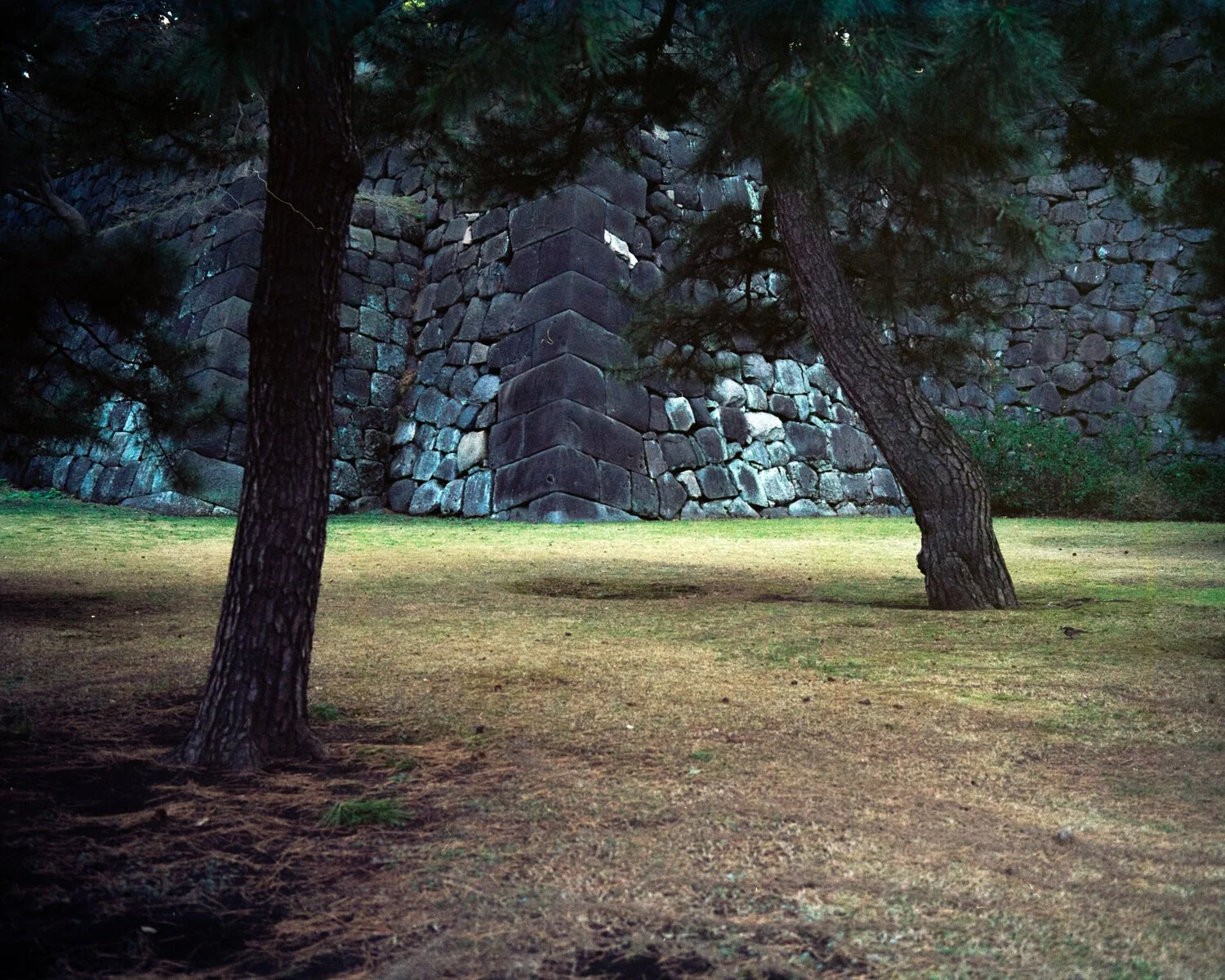 201803_120_R5_Ektar100_AC3A9317-2.jpg