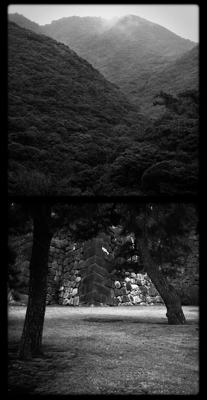 Diptych_Japan3.jpg