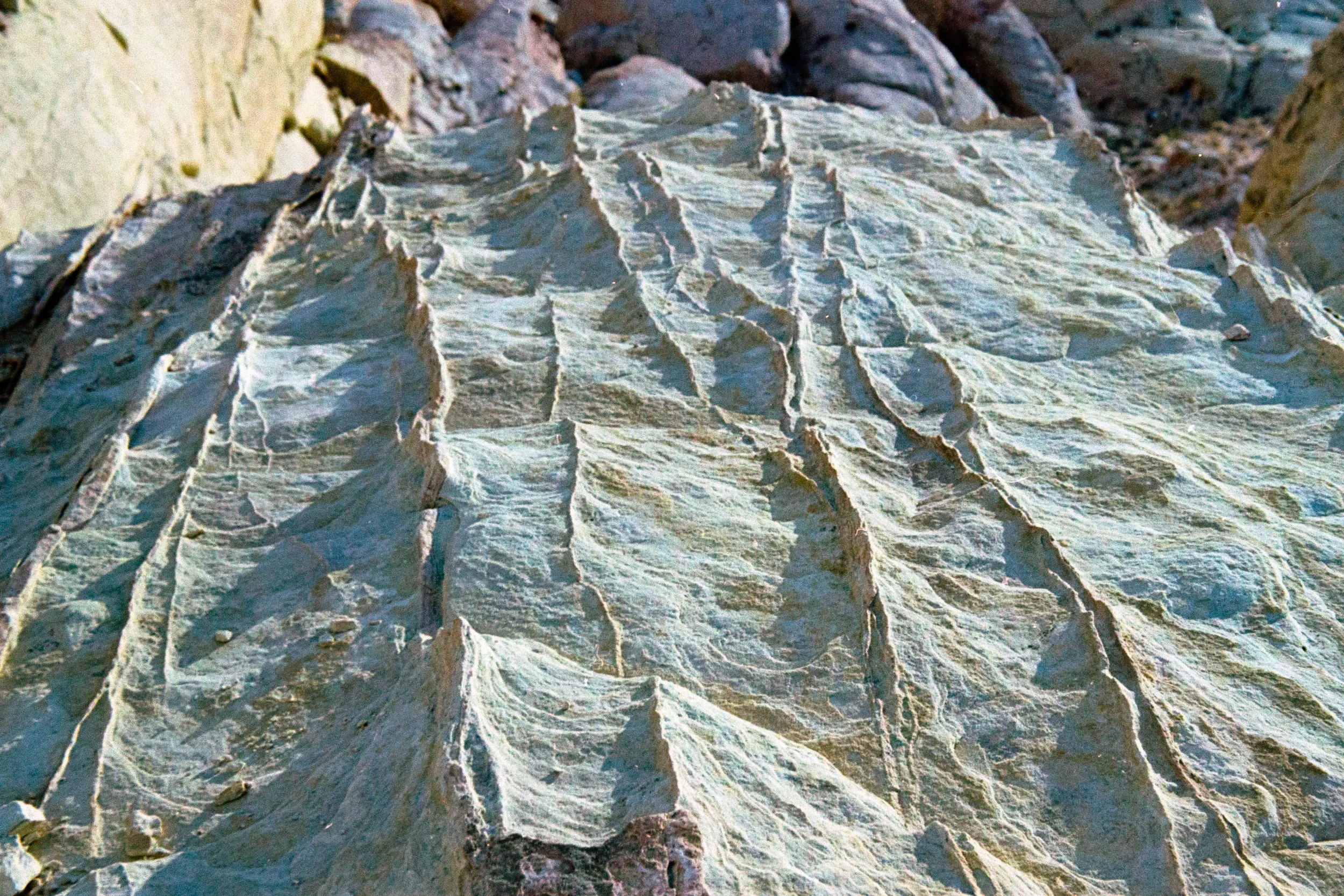 202012_35_R4_Ektar100_AC3A3663.jpg