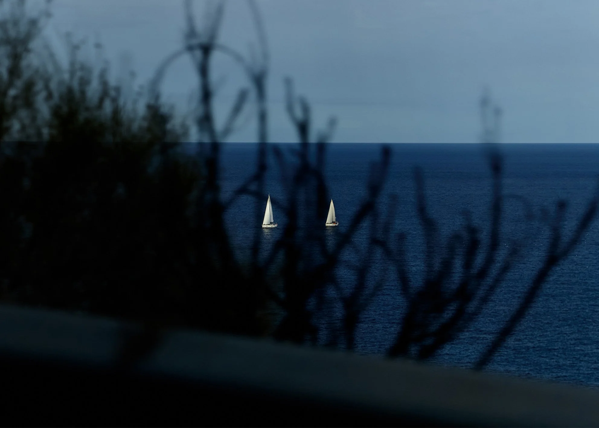 distant-sail_web.jpg