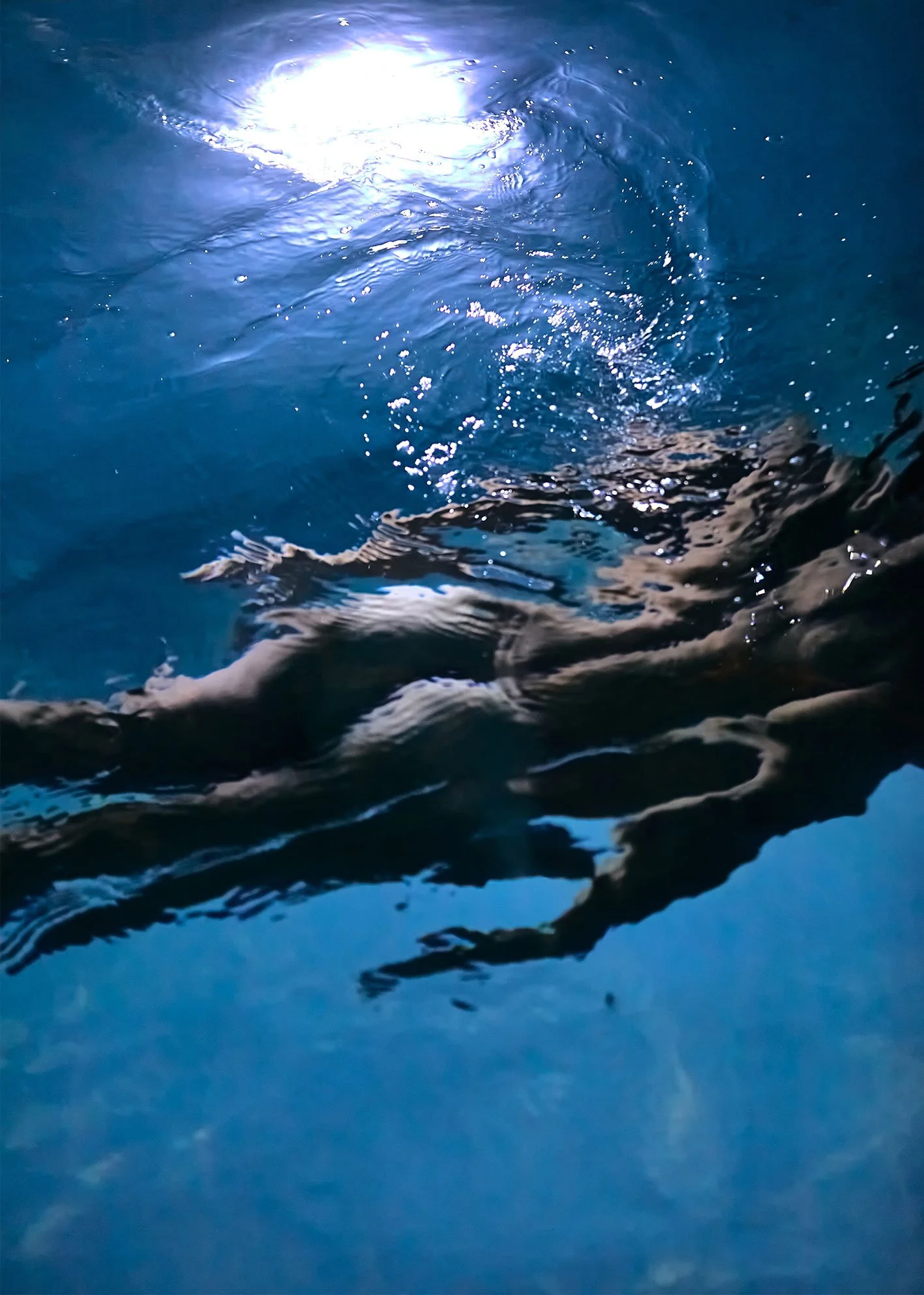 Blue Suspension