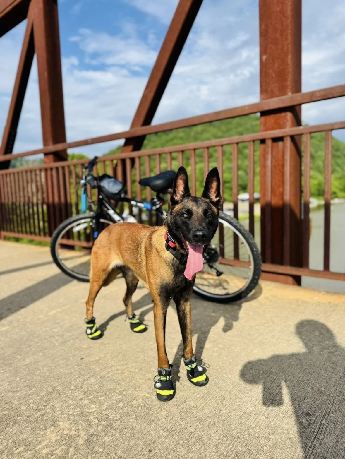 Bicylcing with Stella