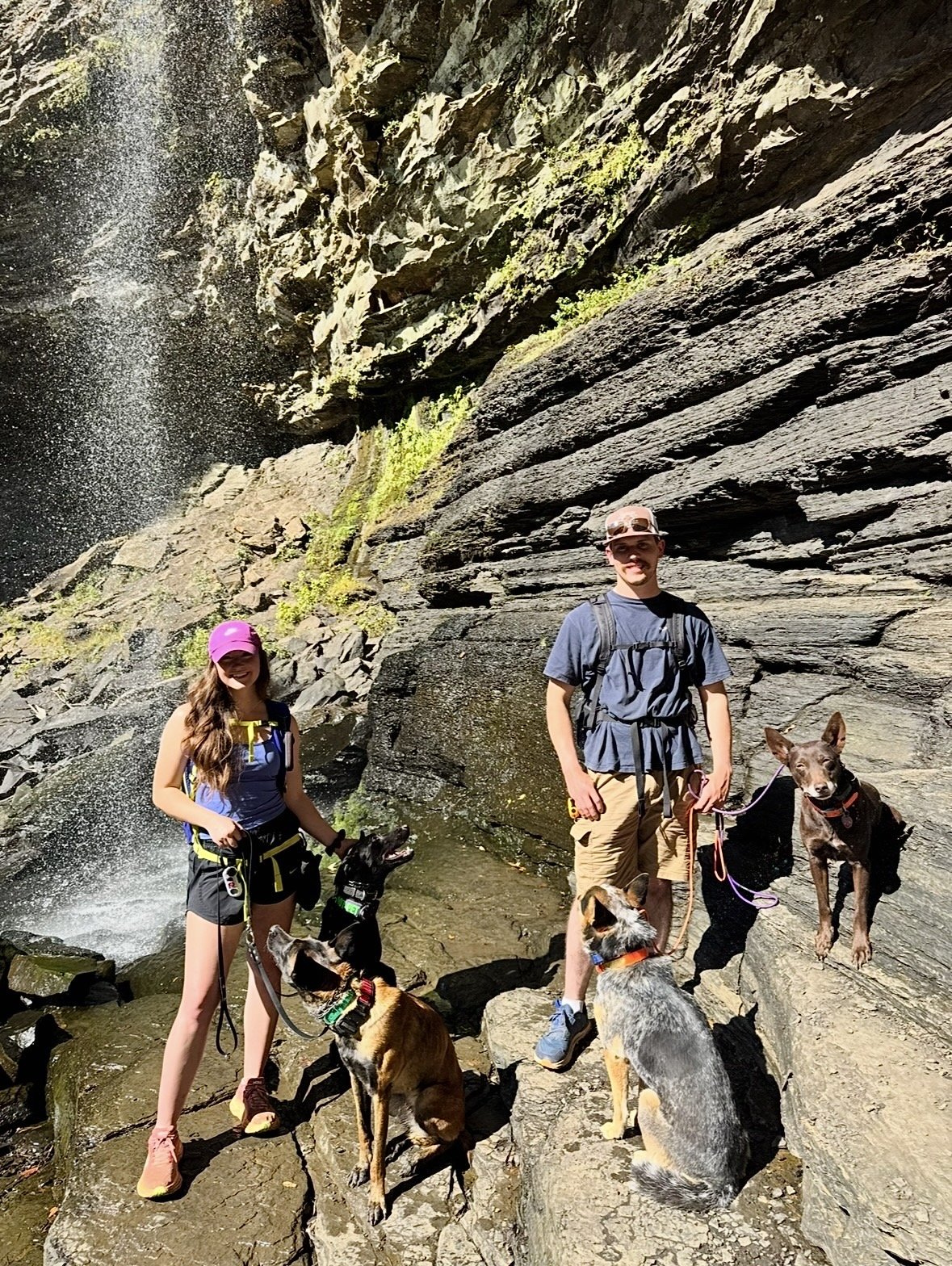 Hiking with Caleb, Zip, Taz, Stella, and Crux