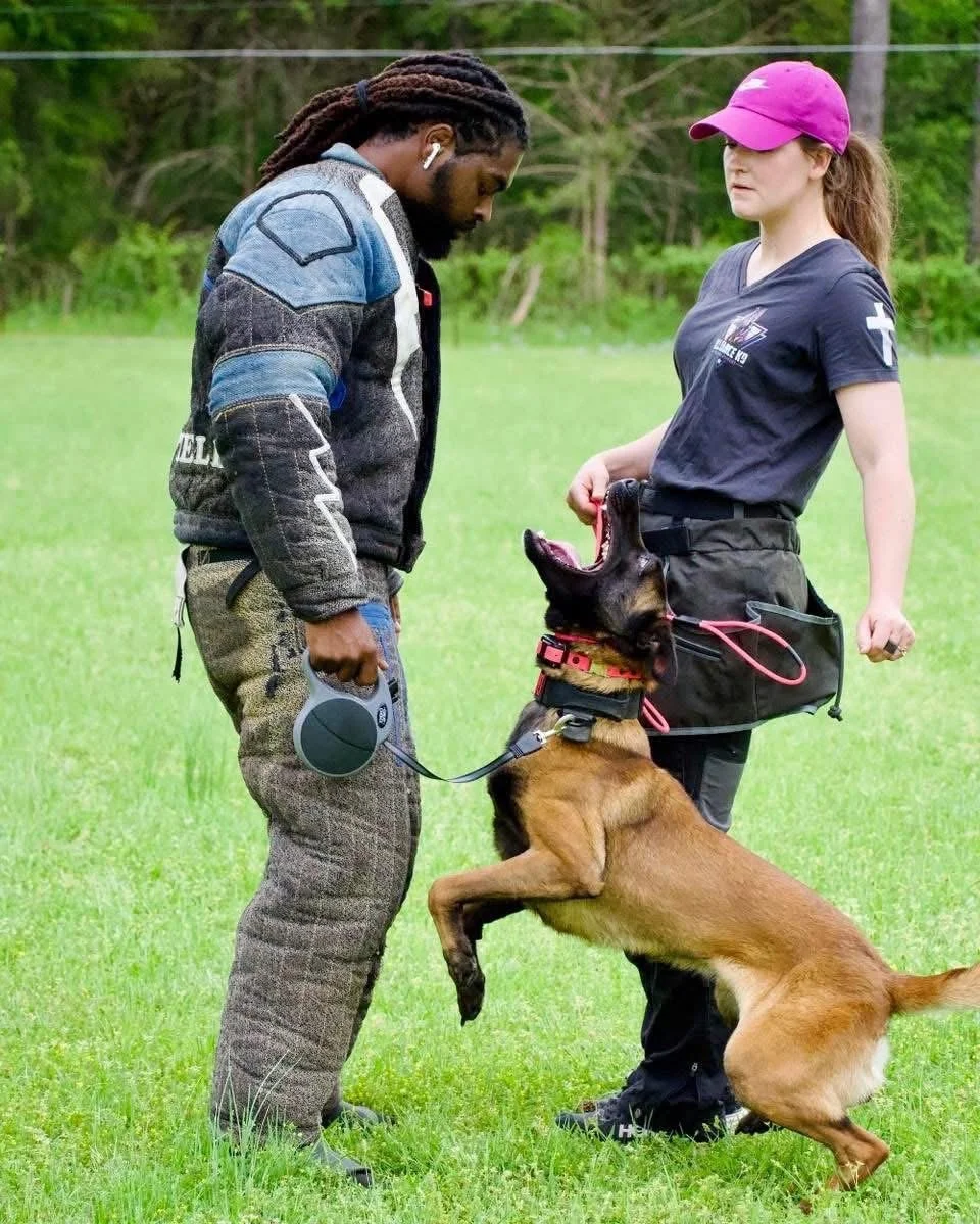 Protection training with Stella