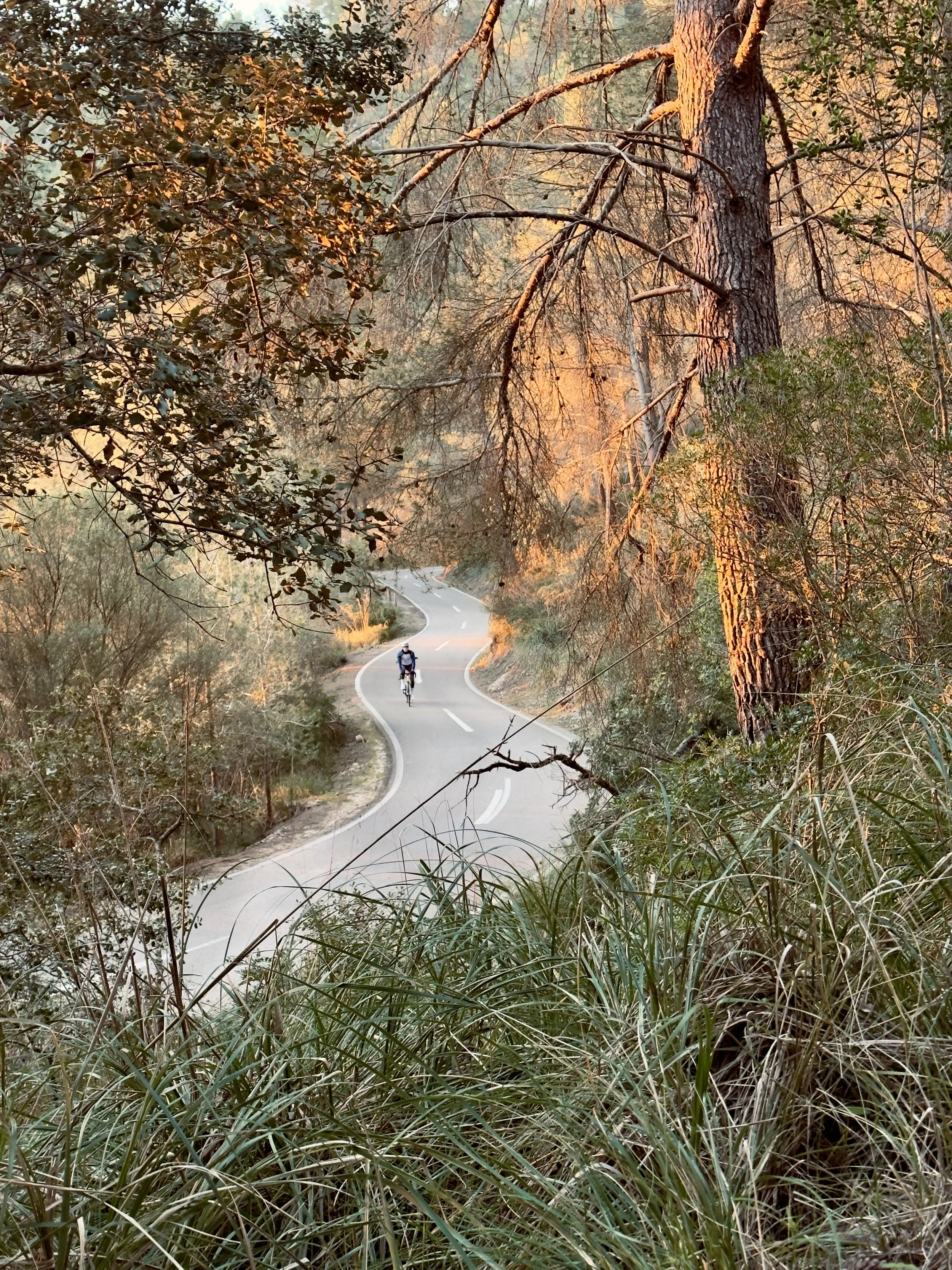 Palma - Coll de Sa Creu - Galilea