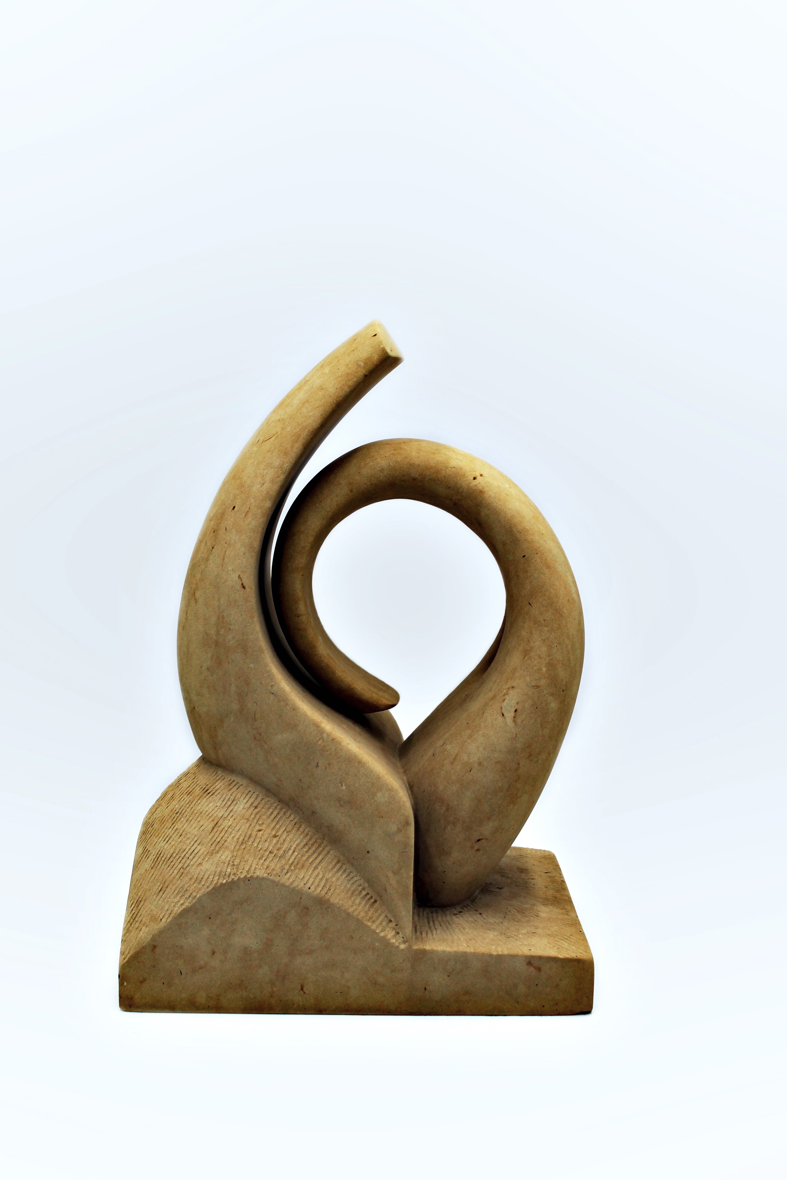 Project 2 - Tendril"