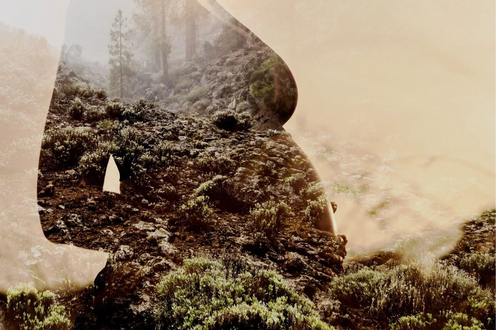 Accompagnements à la naissance.jpg