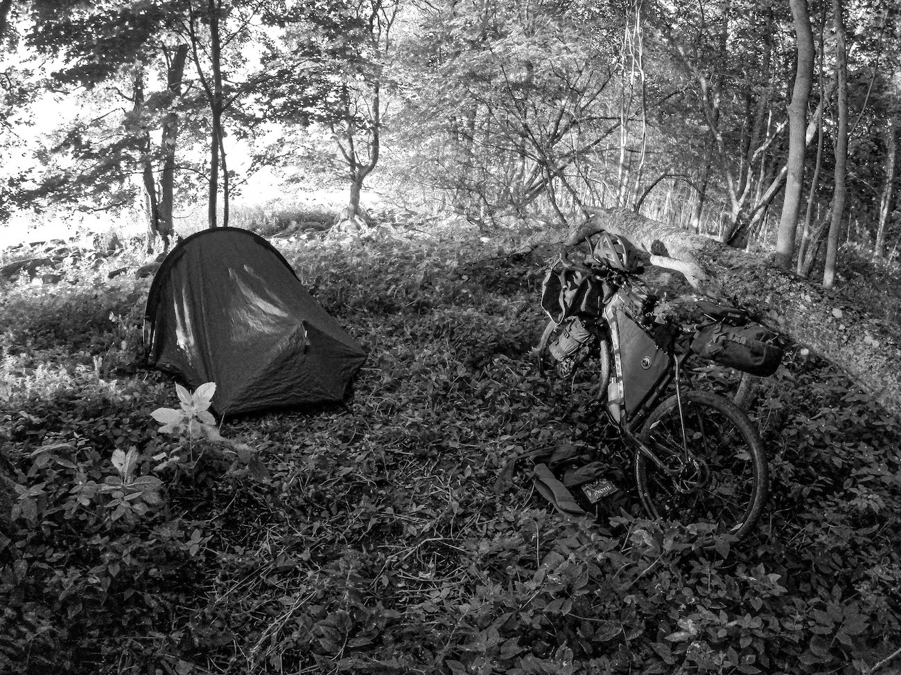 3-day bikpacking trip - July 2022-17.JPG