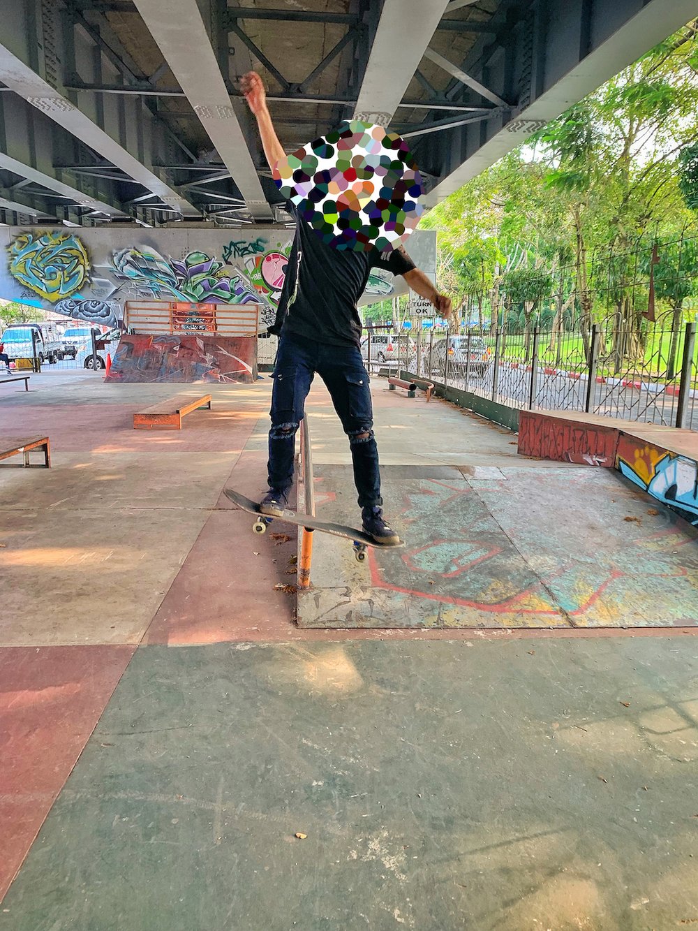 skateboarders 2.jpg