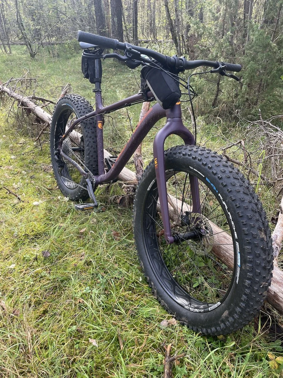2023 Kona Wo fatbike matte plum12.JPG
