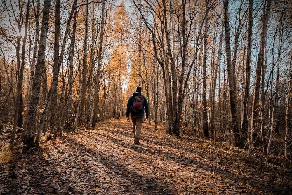 Pääsküla trails  11.JPG