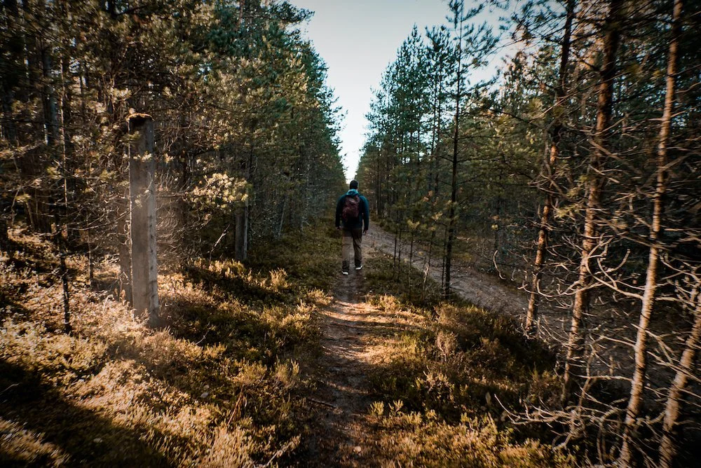 Pääsküla trails  15.JPG