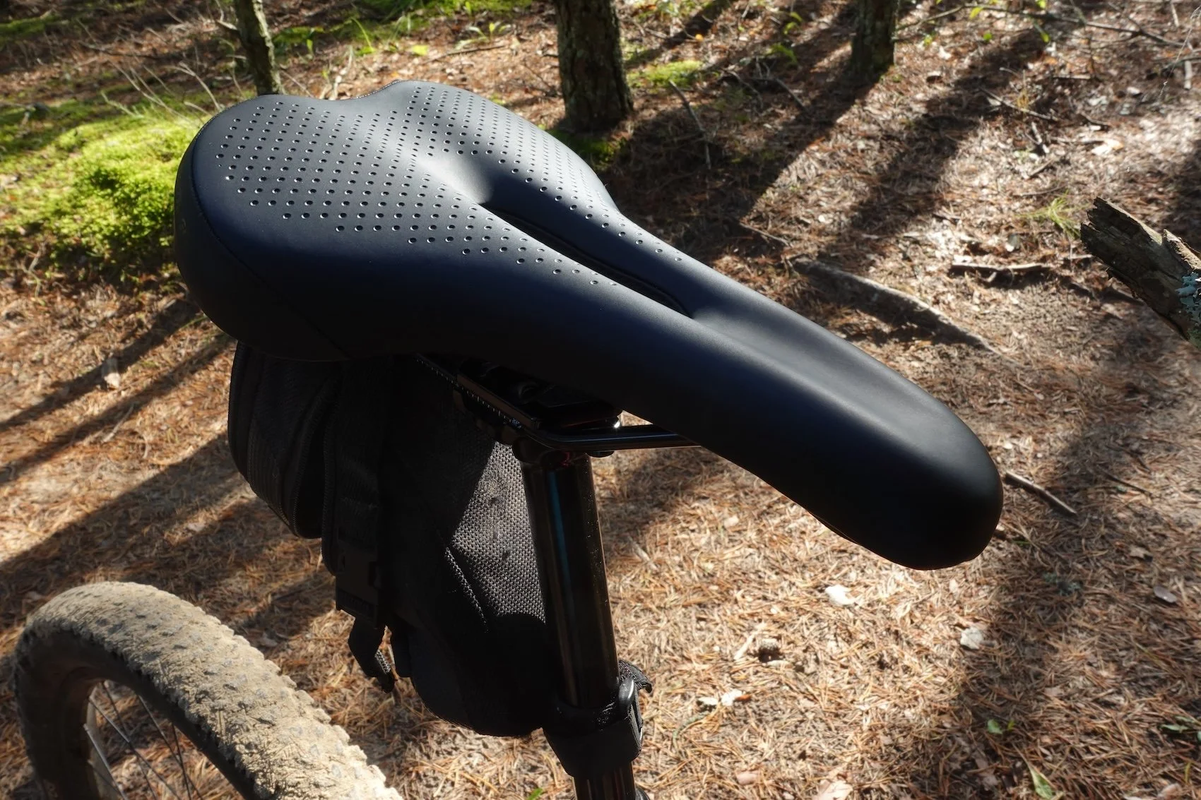 Bontrager sport saddle outlet
