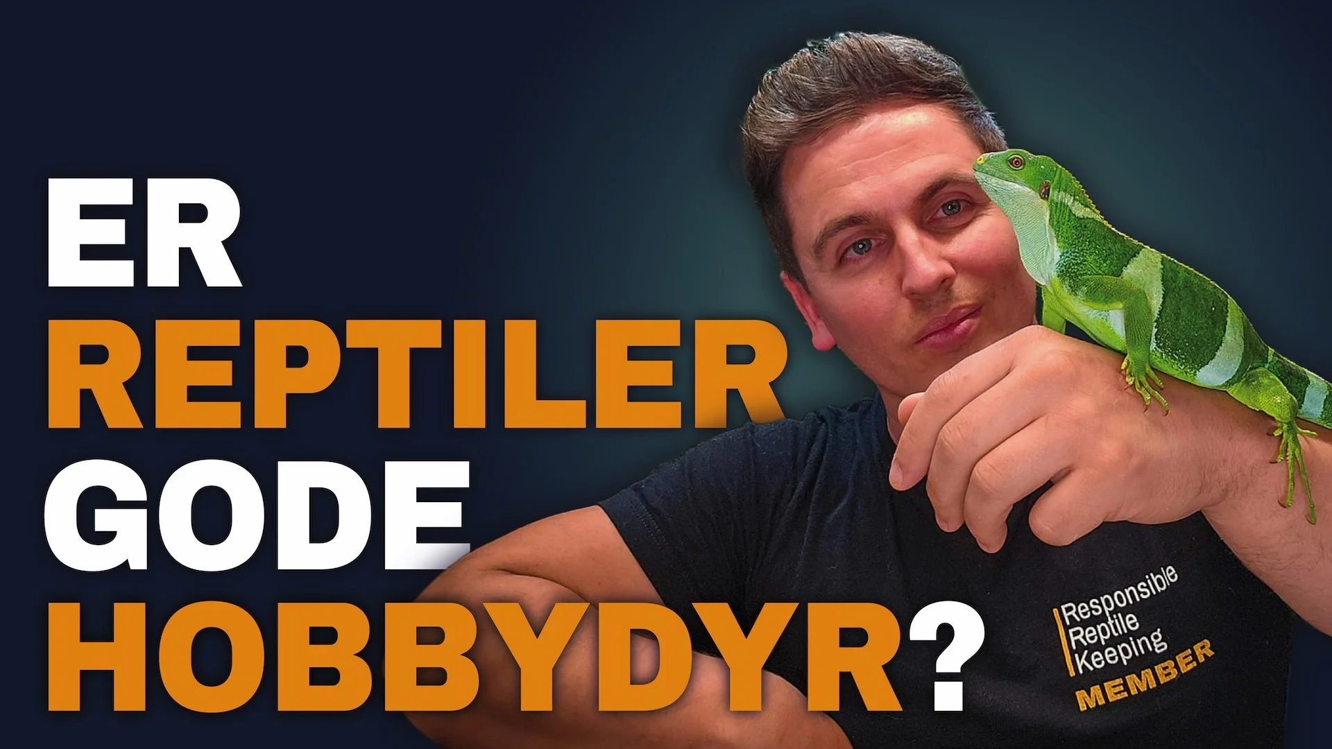 Miniatyrbildet har teksten «Er reptiler gode kjæledyr?» og viser en mann iført en Responsible Reptile Keeping T-skjorte som holder en fijileguan.