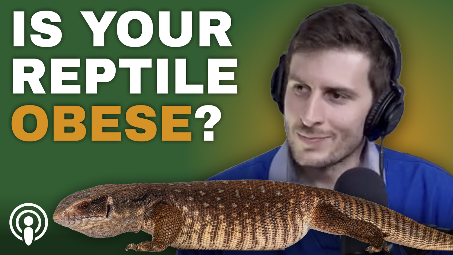 Podcast home responsible reptile keeping