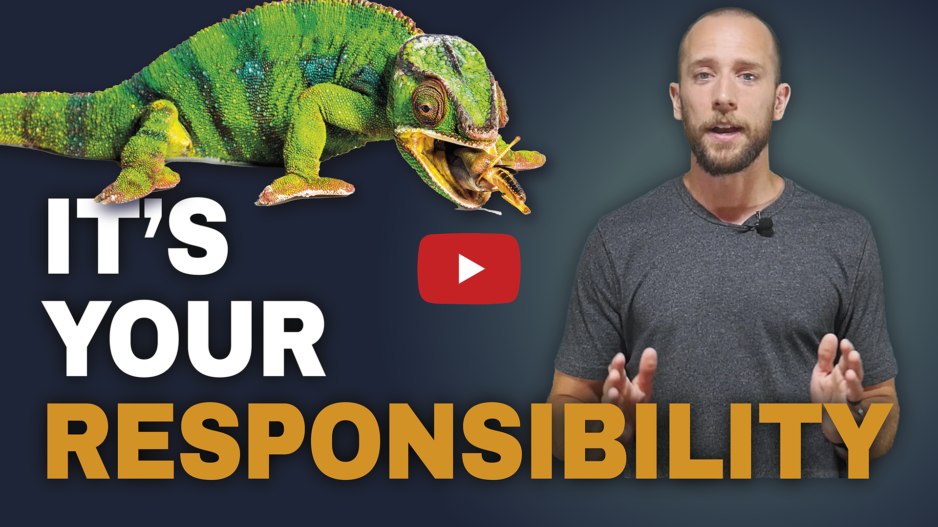 Picture of A beginner’s guide to reptile obesity — Responsible Reptile Keeping