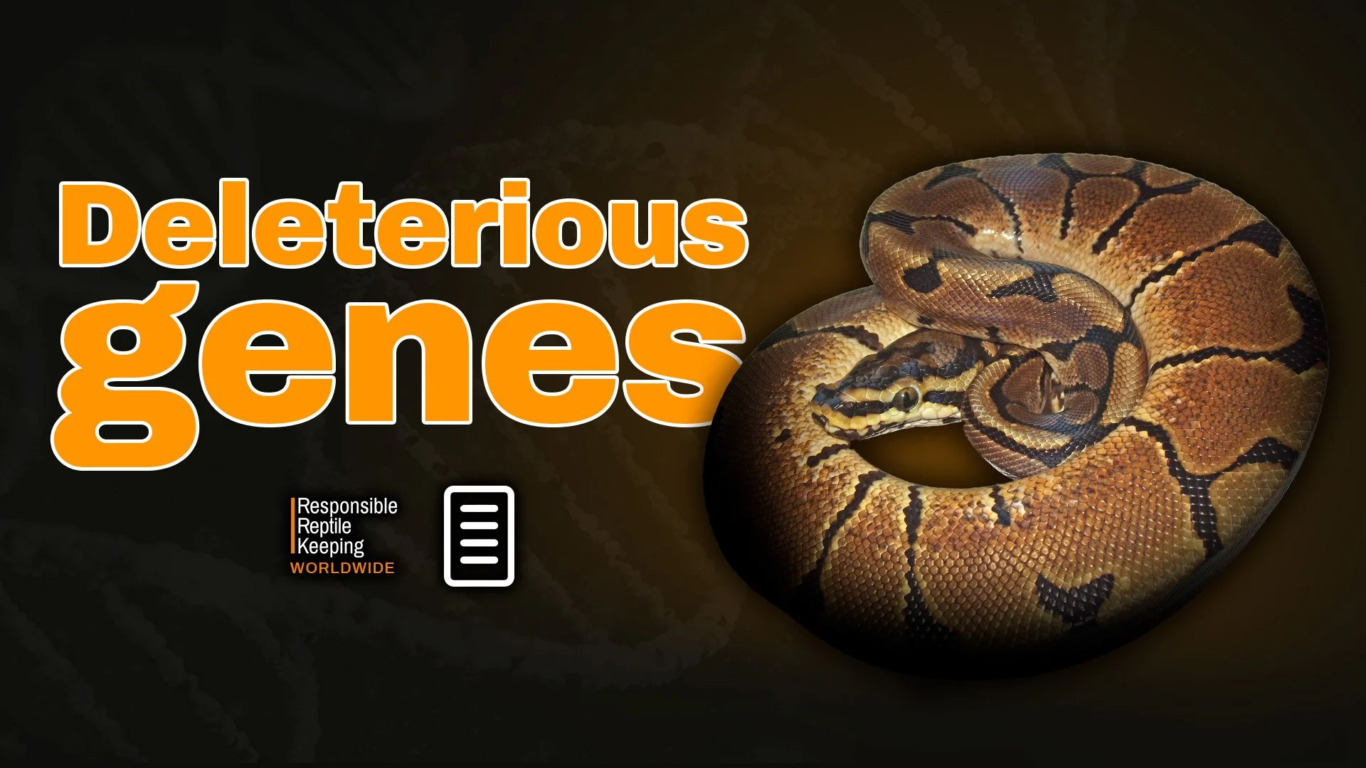 Banner image for the article ‘Deleterious Genes’ showing a spider morph ball python, illustrating the ethical and genetic health concerns associated with selectively bred reptile morphs linked to neurological disorders.