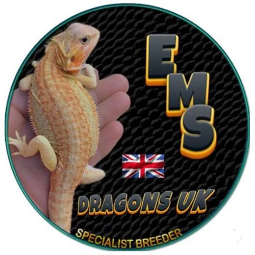 EMS Dragons UK Logo