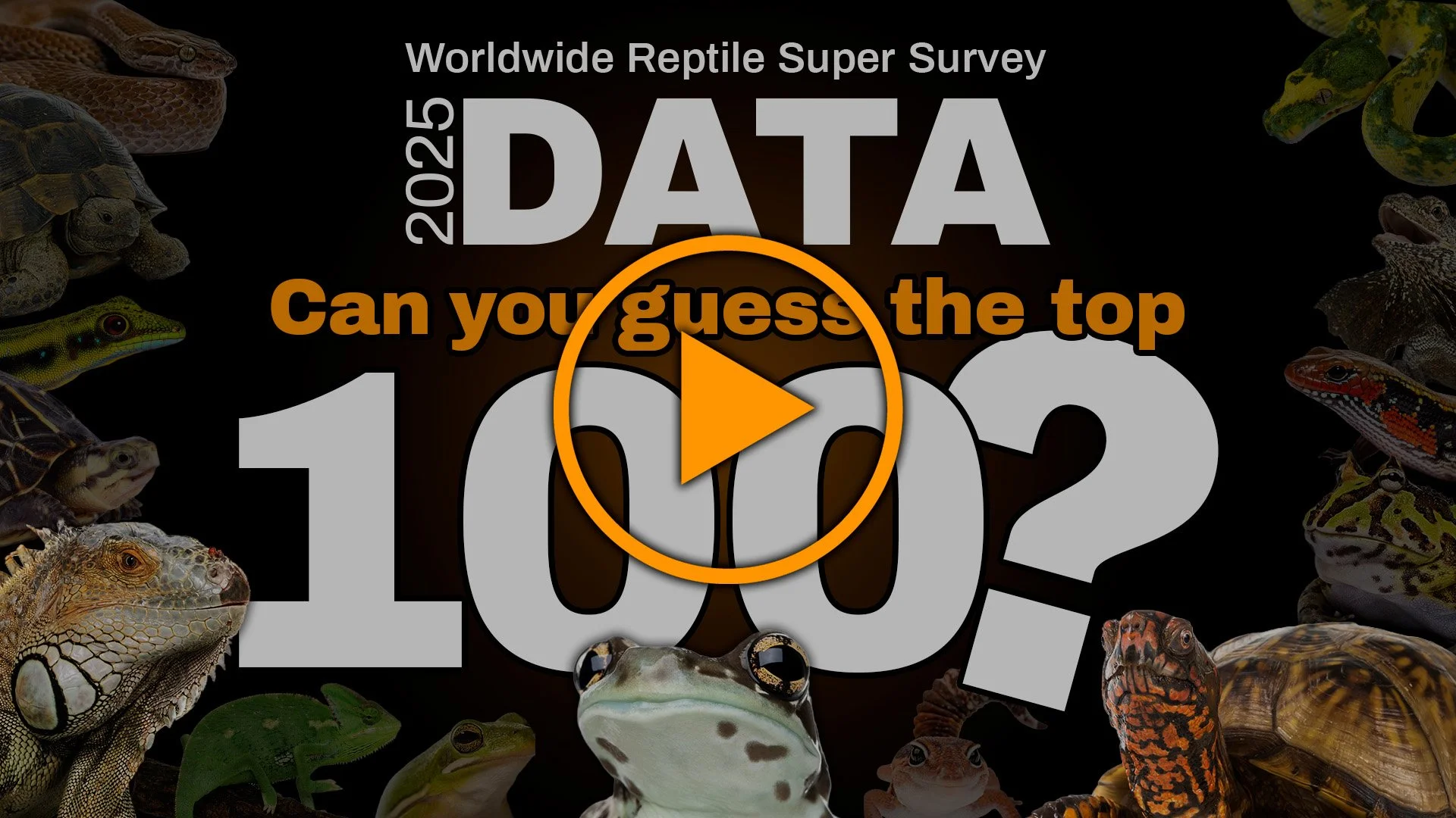 Thumbnail featuring the Worldwide Reptile Super Survey logo and the text "Can you guess the top 100?" surrounded by photographs of reptiles and amphibians, including snakes, lizards, frogs, turtles and tortoises.
