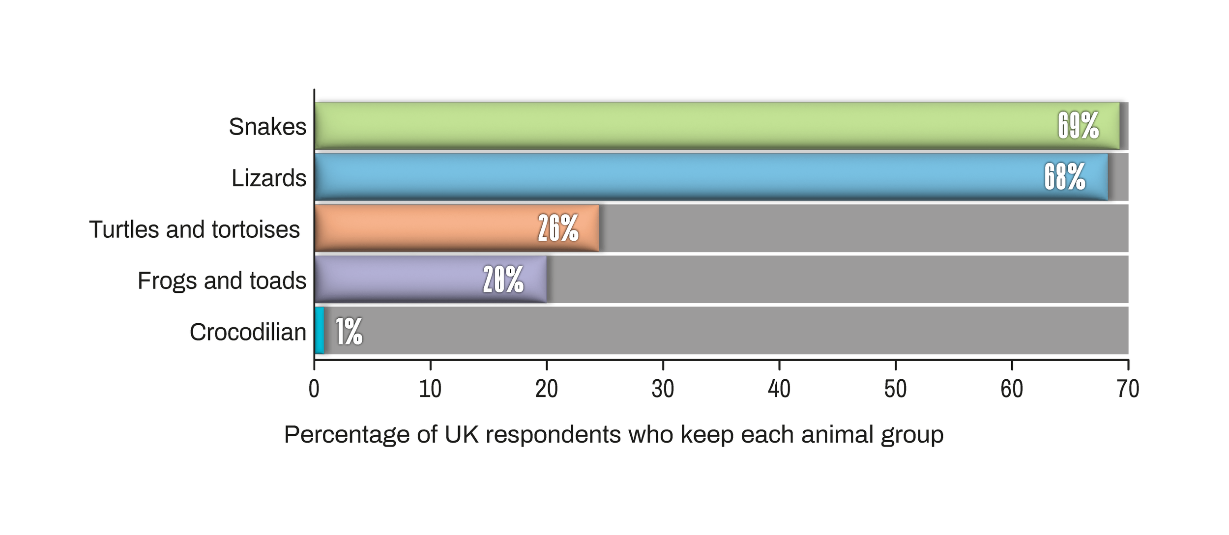 Worldwide Reptile Super Survey - UK reptile taxa tally bar chart