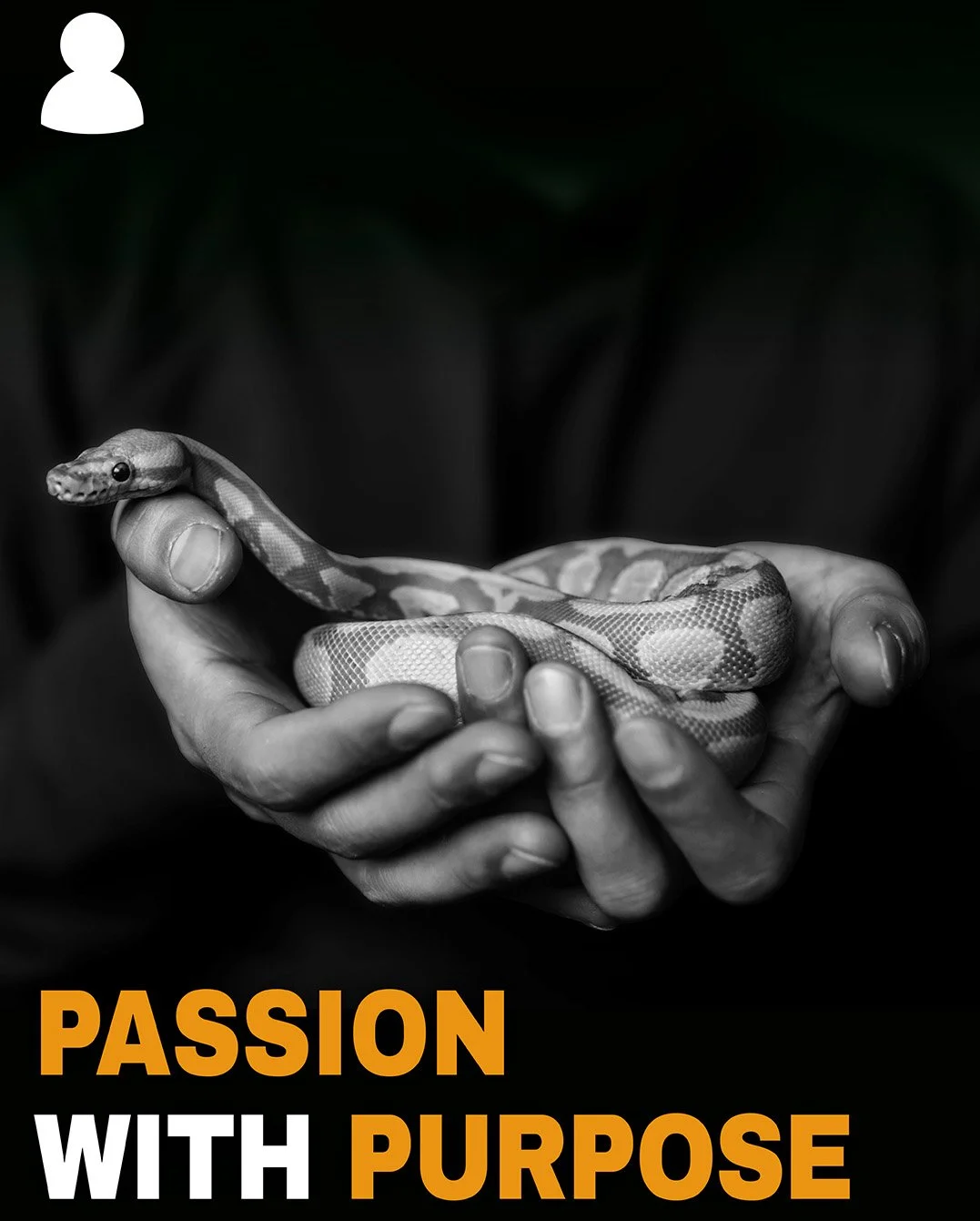 Video thumbnail titled “Passion with purpose” exploring the motivations behind reptile keeping.