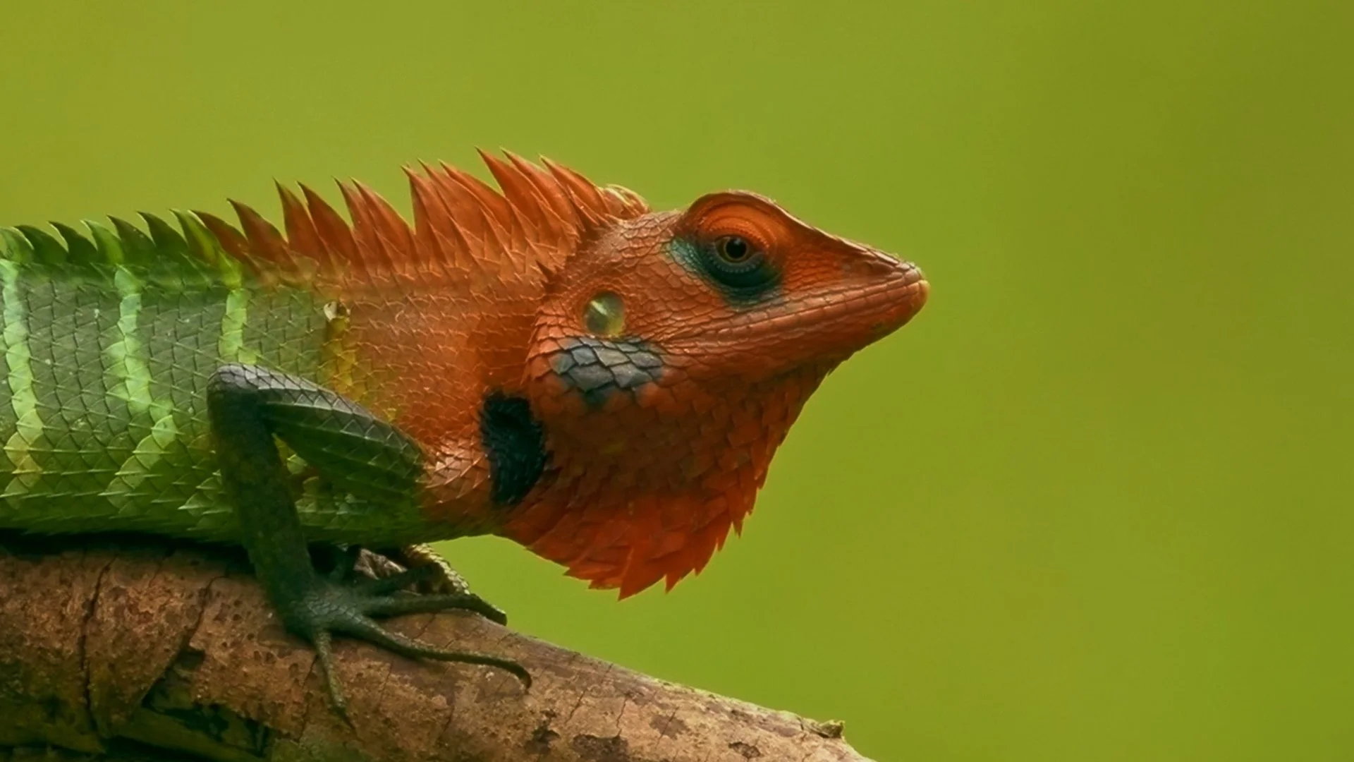 RRK Hero Banner 6.jpg