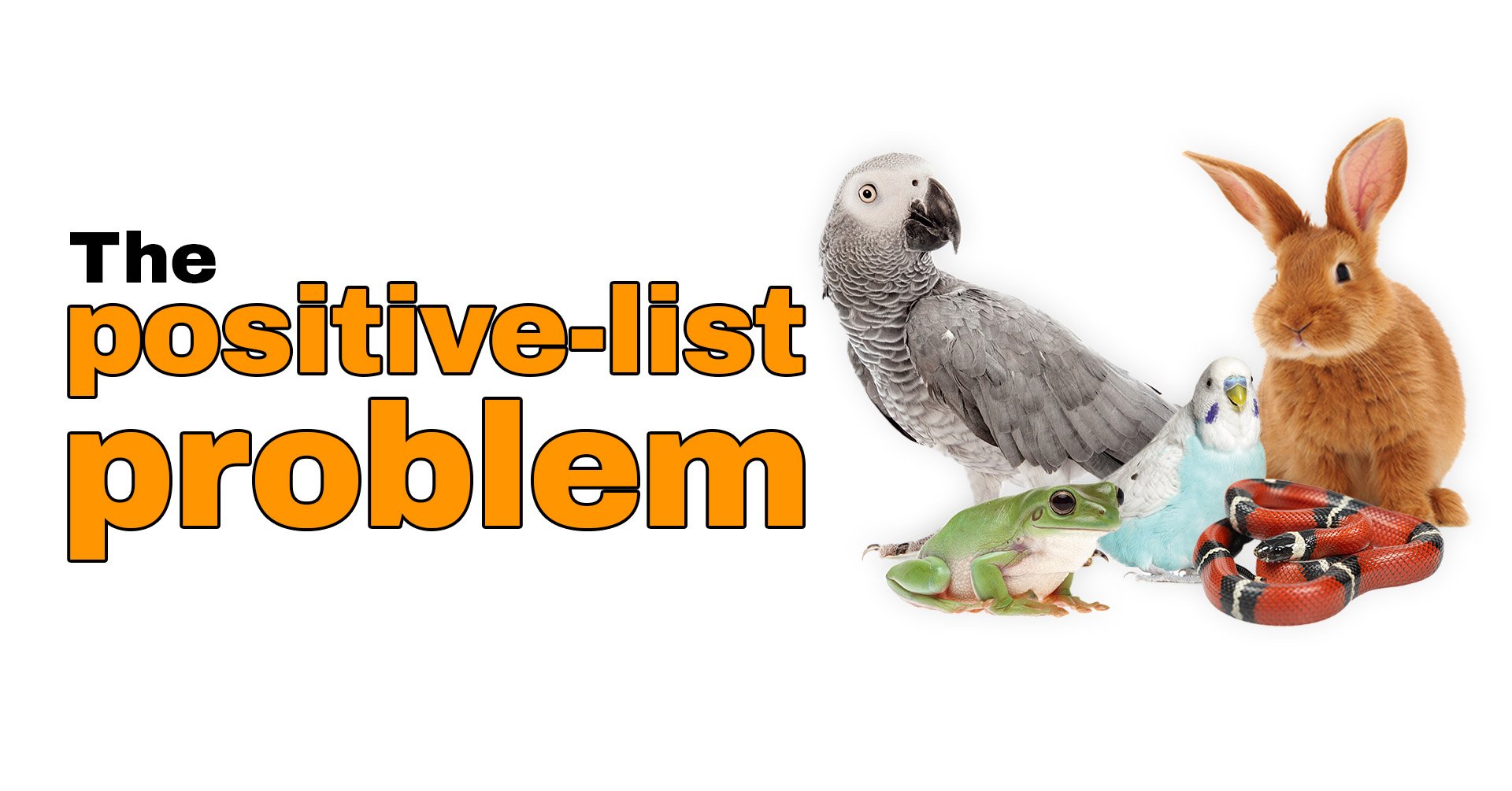 Banner image for ‘The Positive-List Problem’ article showing the title over illustrations of a parrot, frog, budgie, snake, and rabbit, representing commonly kept exotic and companion animals discussed in the critique of restrictive positive-list leg