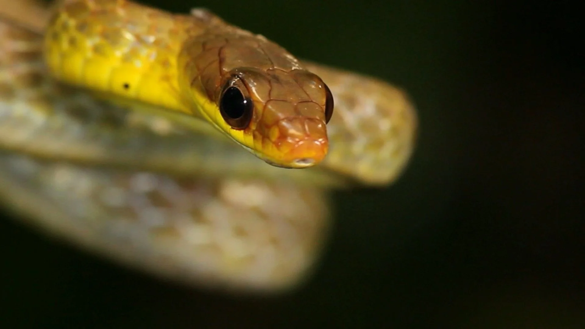 RRK Hero Banner 1.jpg