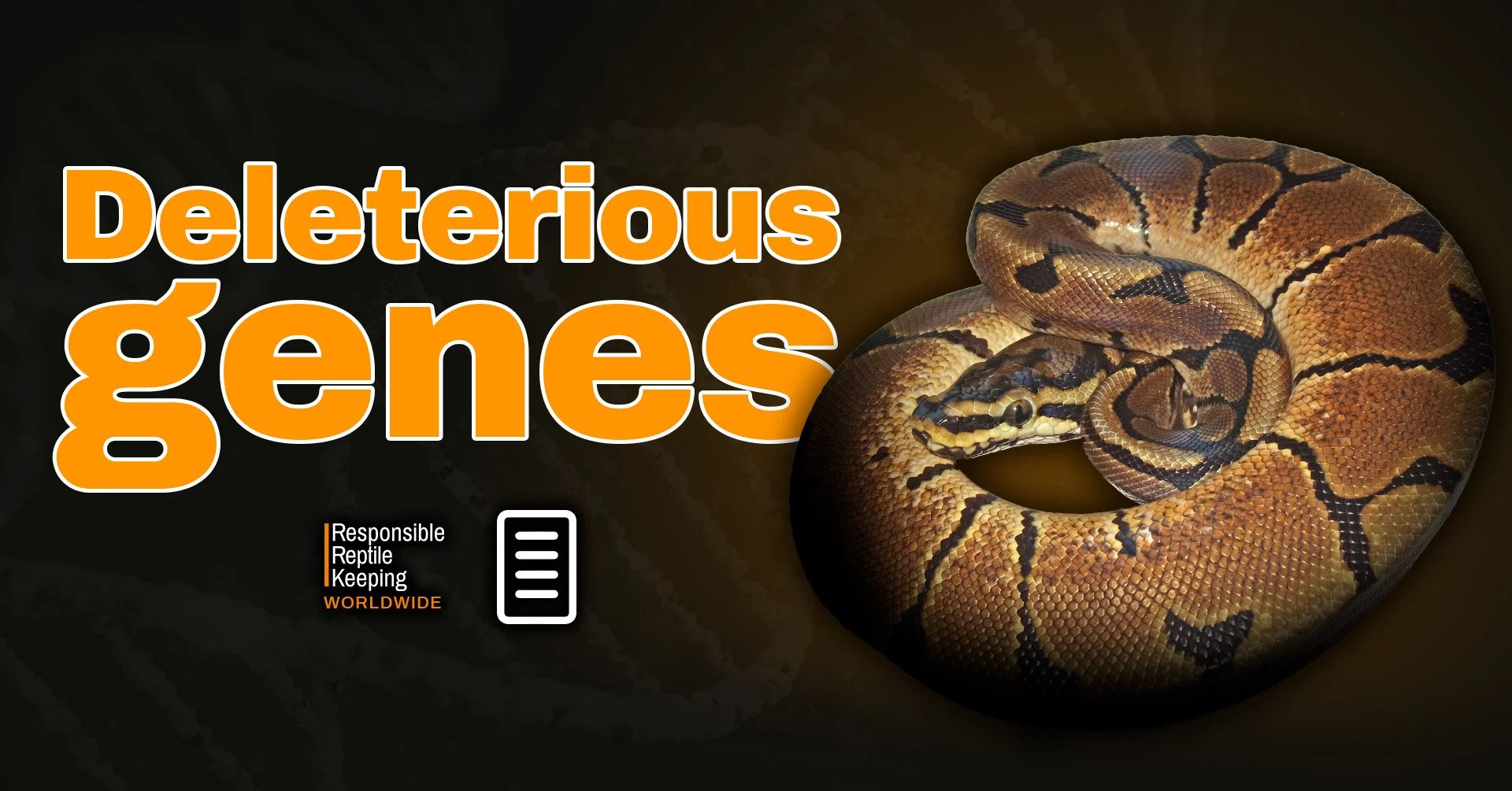 Banner image for the article ‘Deleterious Genes’ showing a spider morph ball python, illustrating the ethical and genetic health concerns associated with selectively bred reptile morphs linked to neurological disorders.