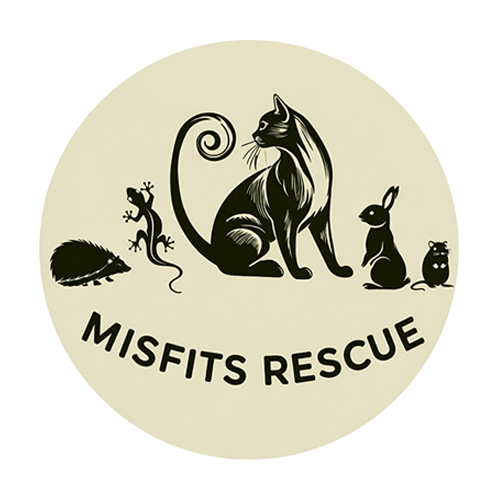Misfits Rescue