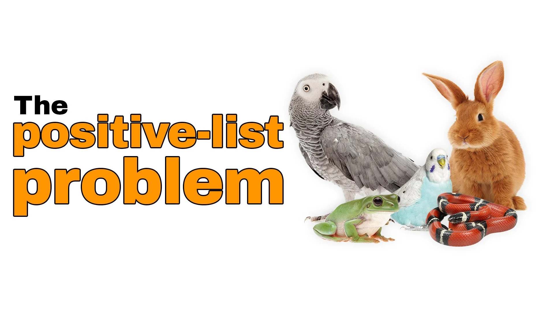 Banner image for 'The Positive-List Problem' article showing the title over images of a parrot, frog, budgie, snake and rabbit, representing commonly kept exotic and companion animals discussed in the critique of restrictive positive-list legislation