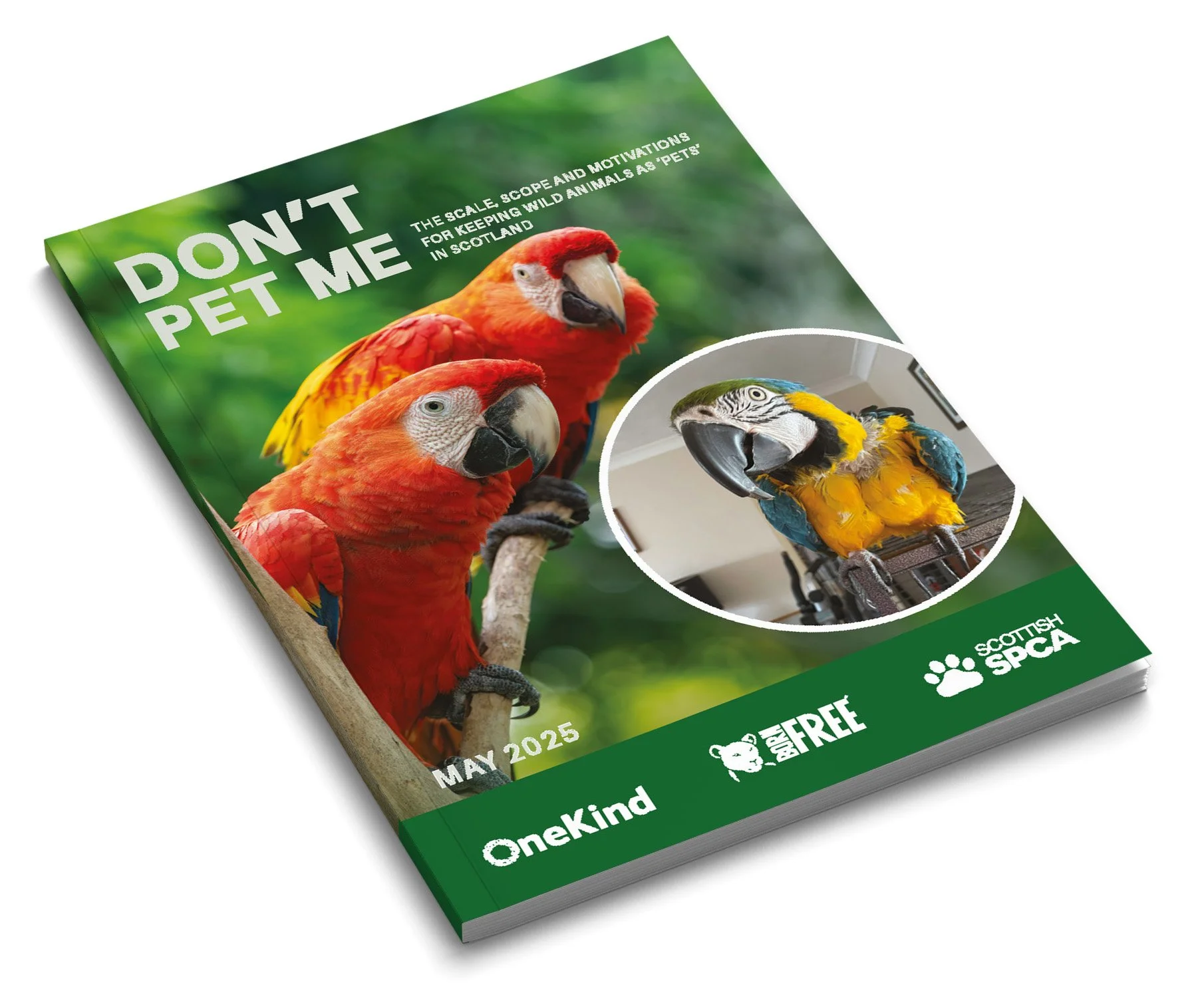 Mock-up for the “Scotland: Don’t Pet Me” positive-list campaign opposing restrictive species legislation.