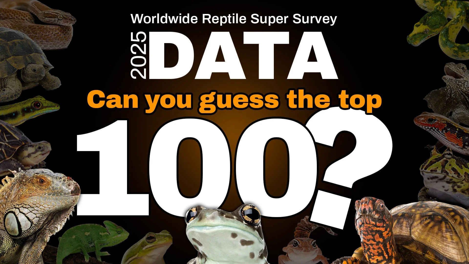 Thumbnail featuring the Worldwide Reptile Super Survey logo and the text "Can you guess the top 100?" surrounded by photographs of reptiles and amphibians, including snakes, lizards, frogs, turtles and tortoises.