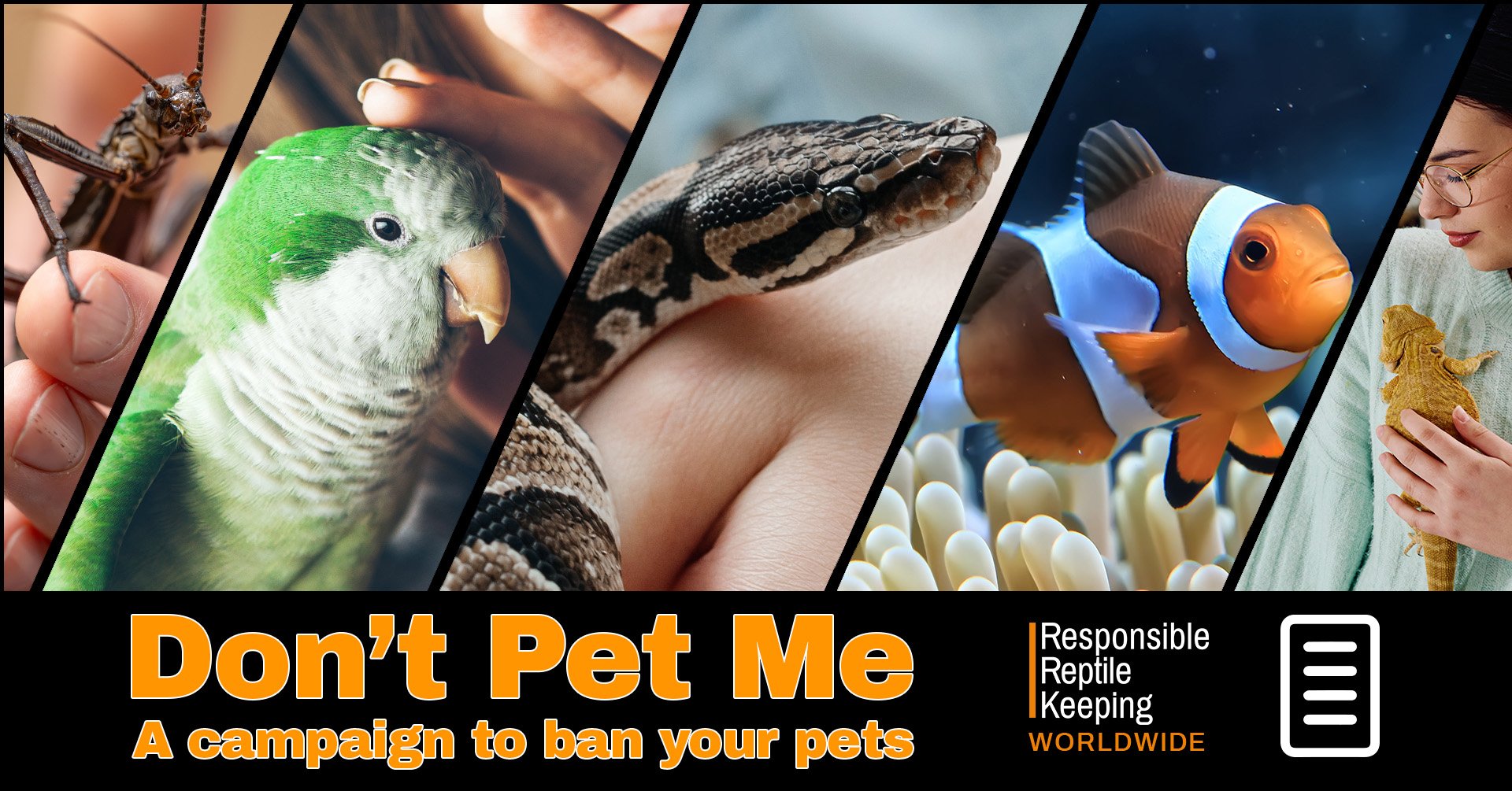 Composite thumbnail showing a stick insect on a hand, monk parakeet on a woman’s shoulder, clownfish in anemone and woman holding a bearded dragon, representing pet species affected by proposed positive lists
