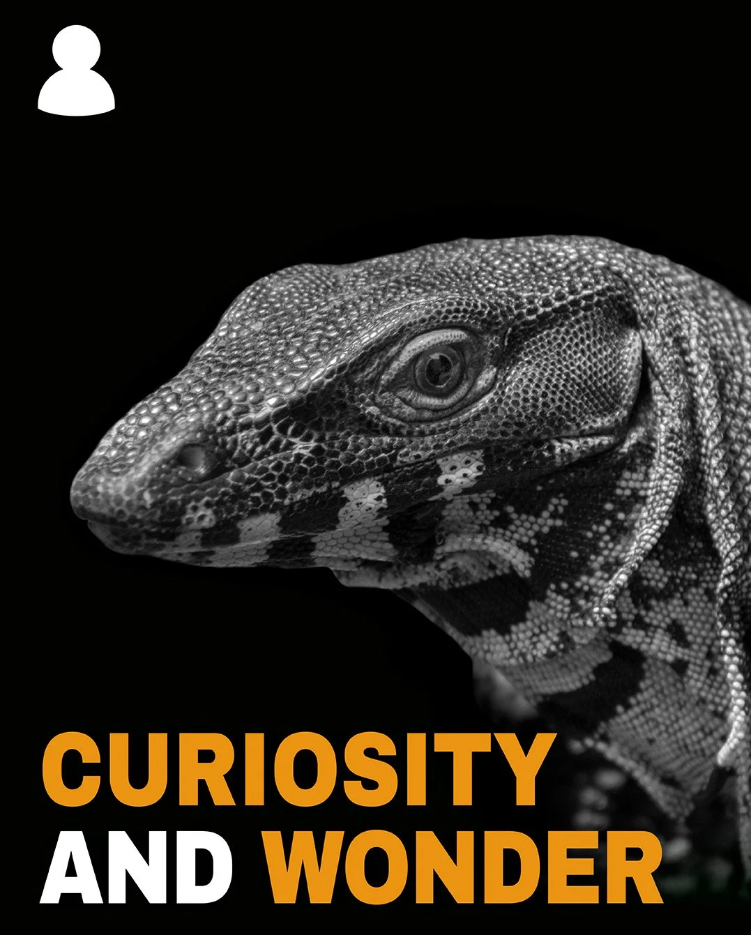 “Curiosity and wonder” video thumbnail from RRK’s mini-documentary series on reptile keeping.