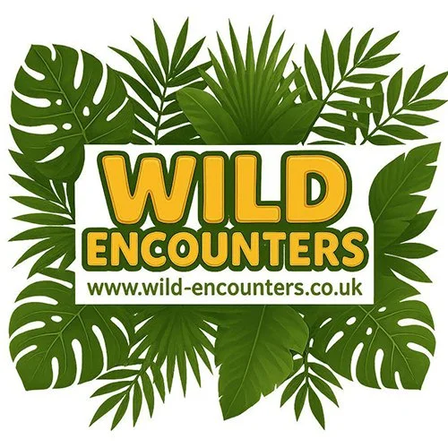 Wild Encounters Logo