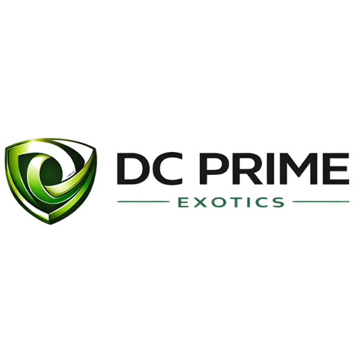 DC Prime Exotics