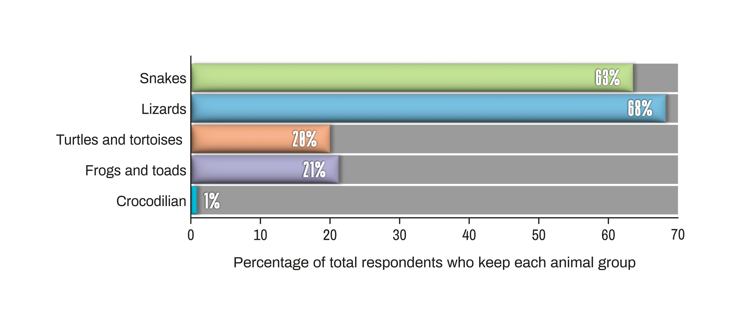 Worldwide Reptile Super Survey - Worldwide reptile taxa tally bar chart