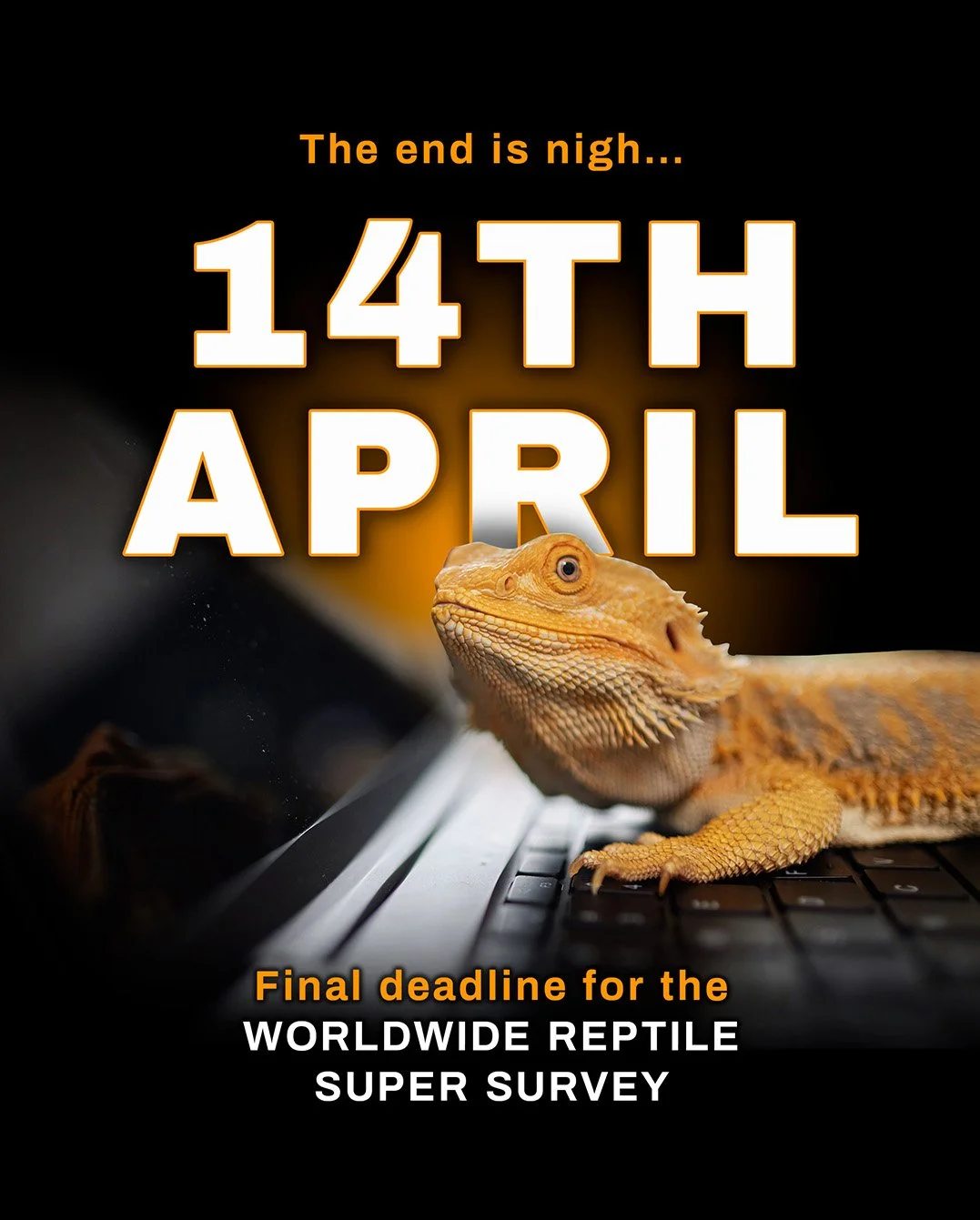 Social media post promoting the Worldwide Reptile Super Survey deadline, showing a bearded dragon on a laptop.