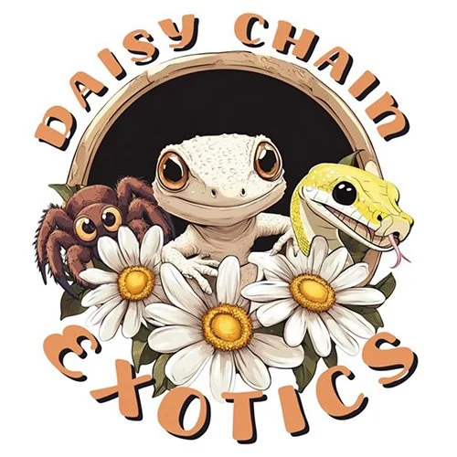 Daisy CHain Exotics LTD logo