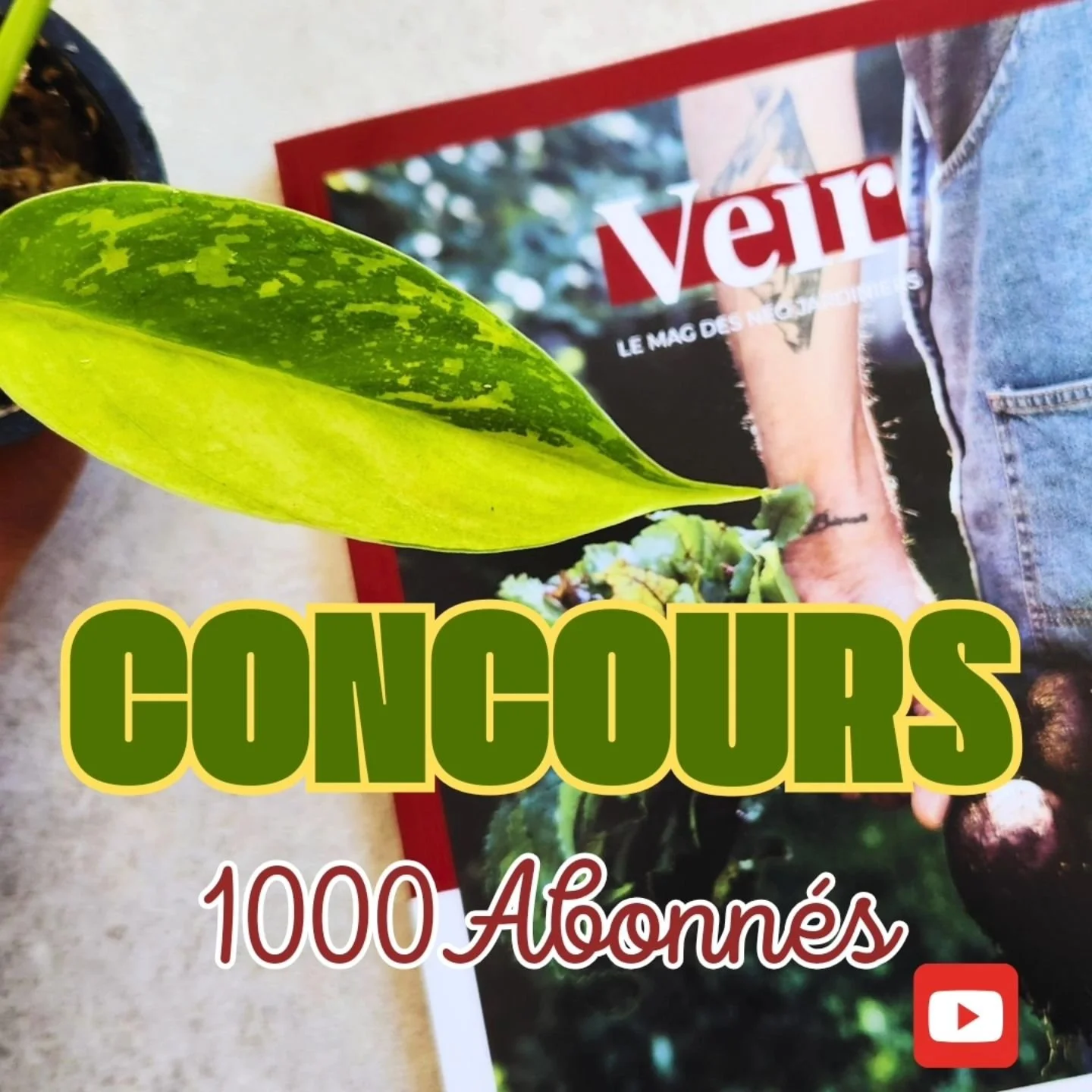 CONCOURS DES 1 000 ABONN&Eacute;S ! 

Ouvert jusqu'au 3 novembre 

Gagnez un philodendron Jos&eacute; Buono et un magazine Veir en participant &agrave; ce concours pour vous remerciez d'&ecirc;tre aussi nombreux &agrave; me suivre sur YouTube !

Les 