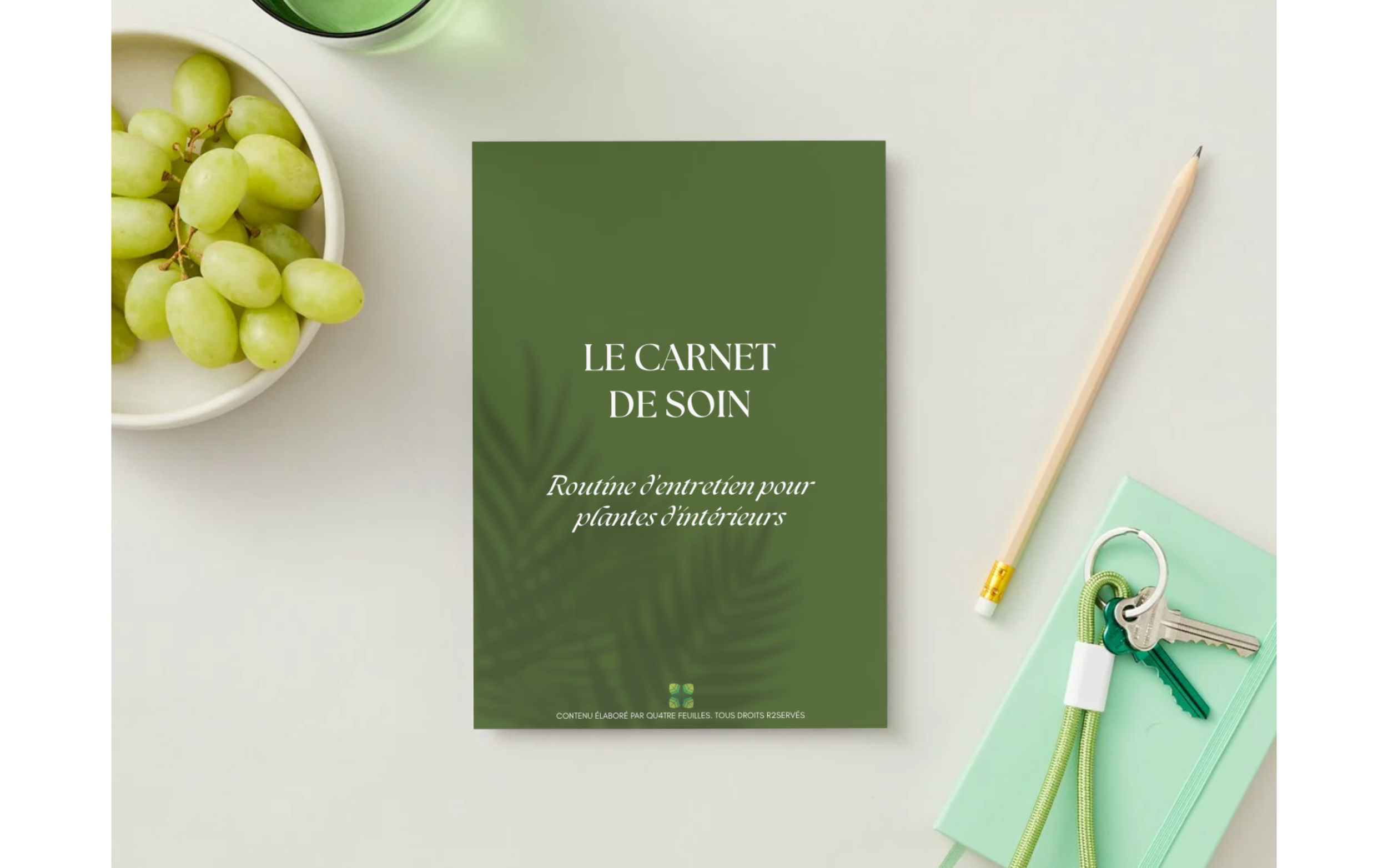 Carnet de soin