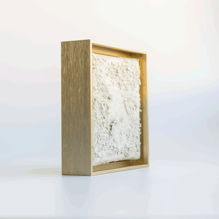 gif_700_beige_goldframe_whiteback.gif