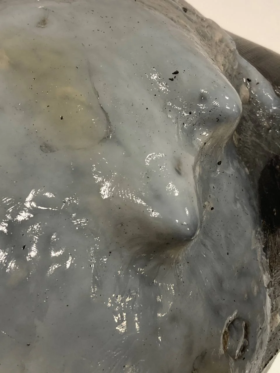 6-Yese Astarloa -scoby and 3d printing - Yese Astarloa.jpg