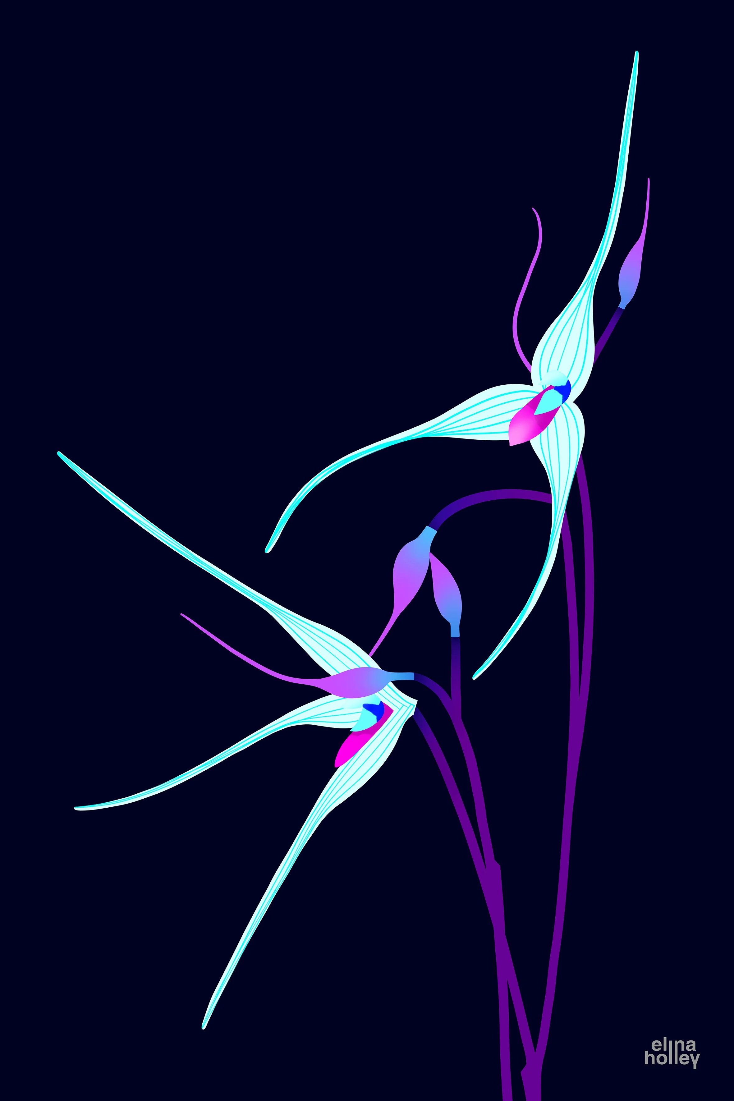 Muscarella_Quiqueseta_digital_art_and_giclee_print_by_Elina_Holley - Elina Holley.jpg