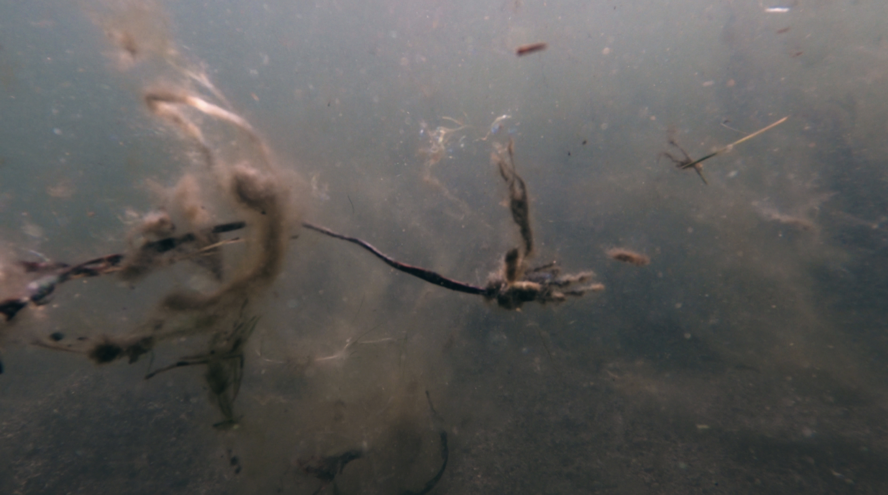 Image: Still from Even a Dead Star Can Be a Lighthouse, 2025. Photo: Maria Ångerman