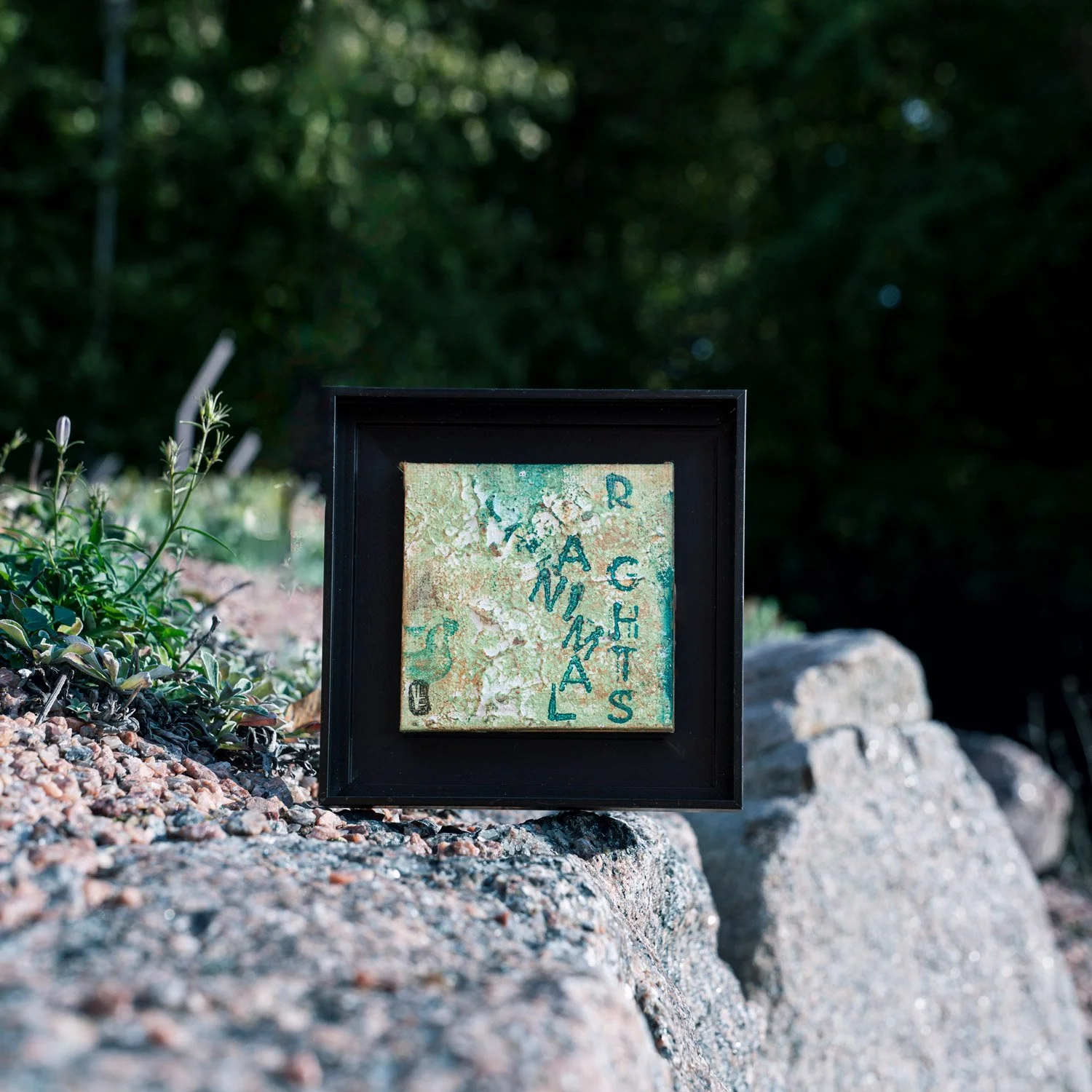 framed in black frame vegan art