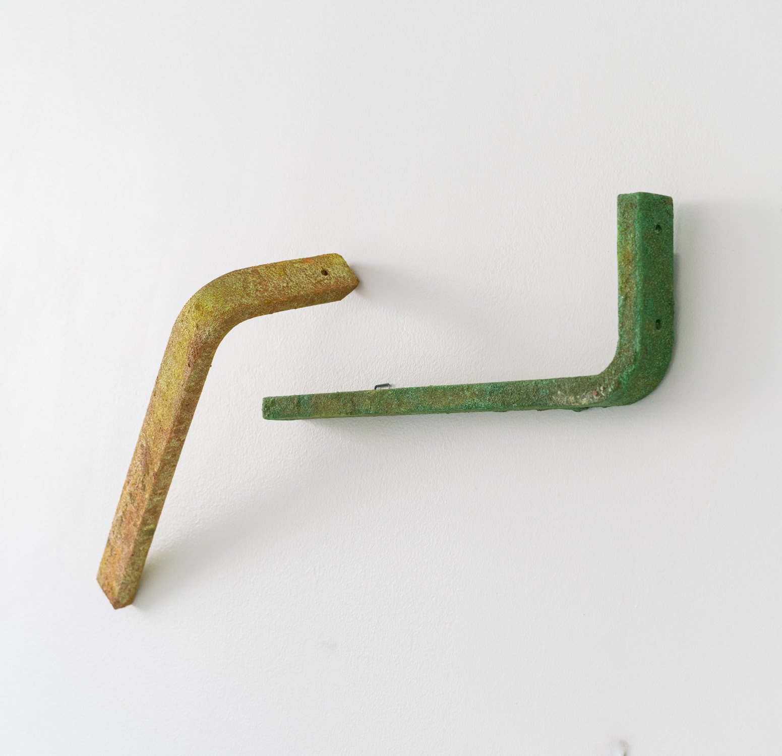 vegesent_legs20.JPG